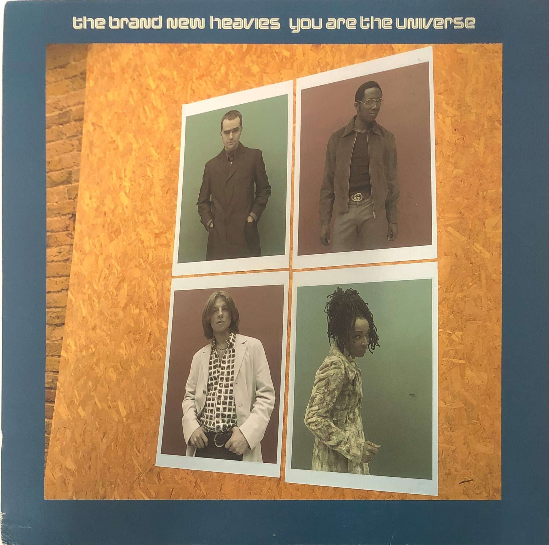 The Brand New Heavies ‎/ You Are The Universe | FISH FOR RECORDS