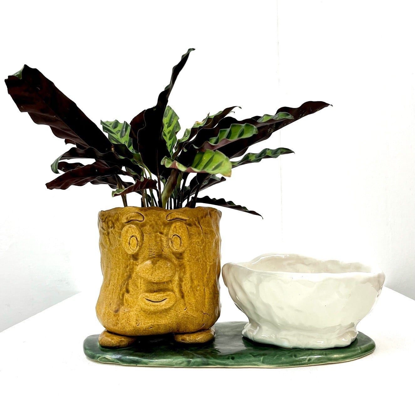 DAISAK / 植木鉢お椀セット | new pure plus