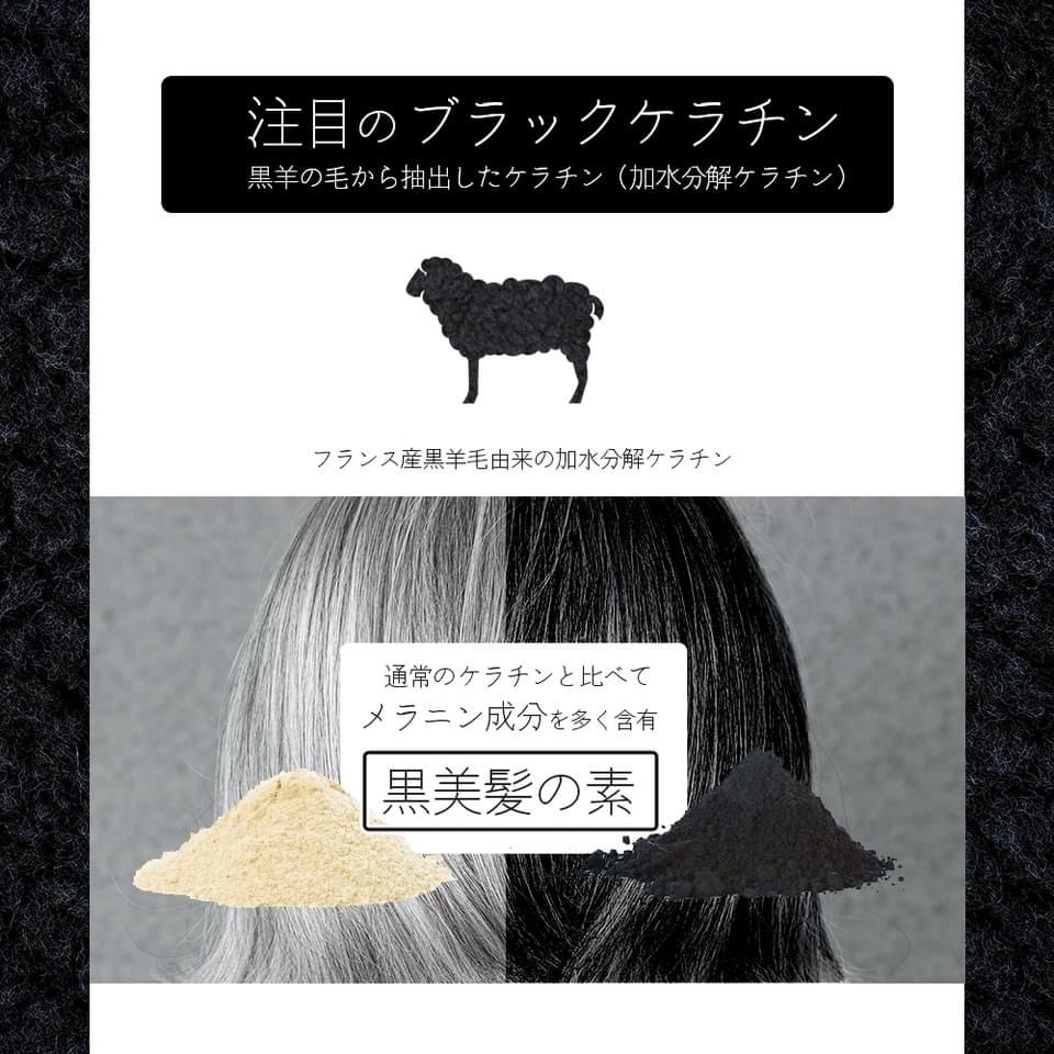 白髪改善シャンプー】 EASE ブラックシャンプー 詰替え用 1000ml