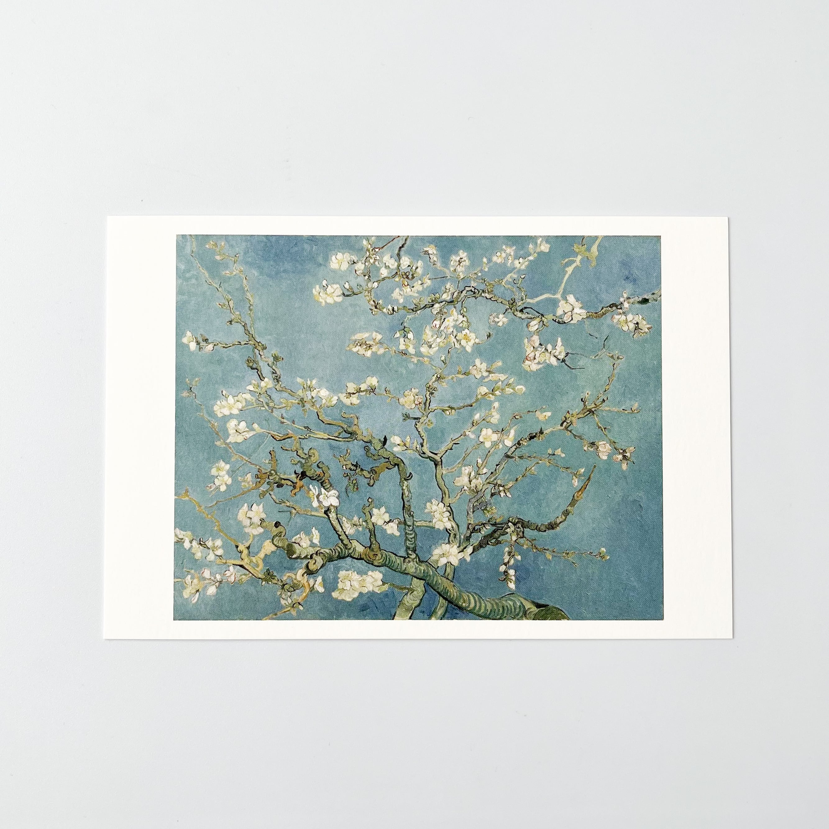 ゴッホ アートポストカード 花咲くアーモンドの木の枝 | hmm, by 東京