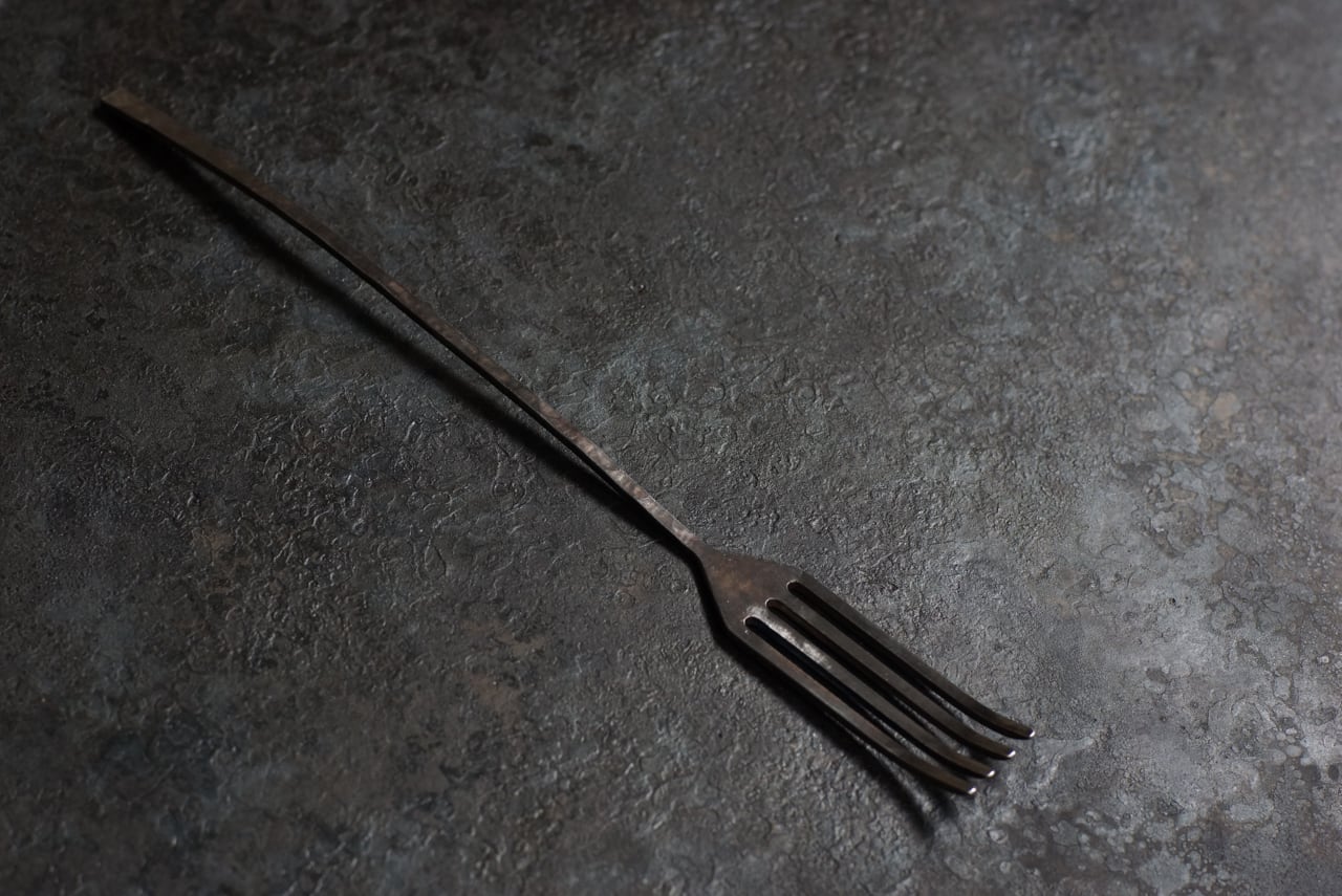 竹俣 勇壱 / フォークLL | iremono