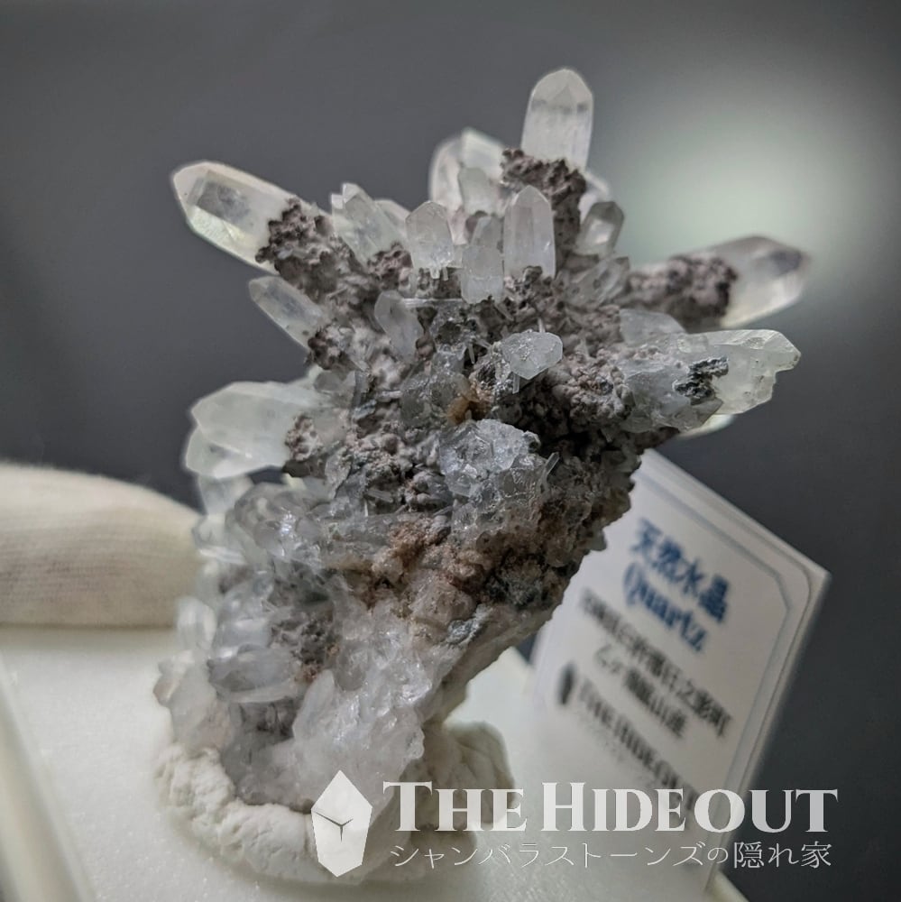 日本国産鉱物標本019 宮崎県臼杵郡日之影町乙ヶ淵（苔土フォイト電気石