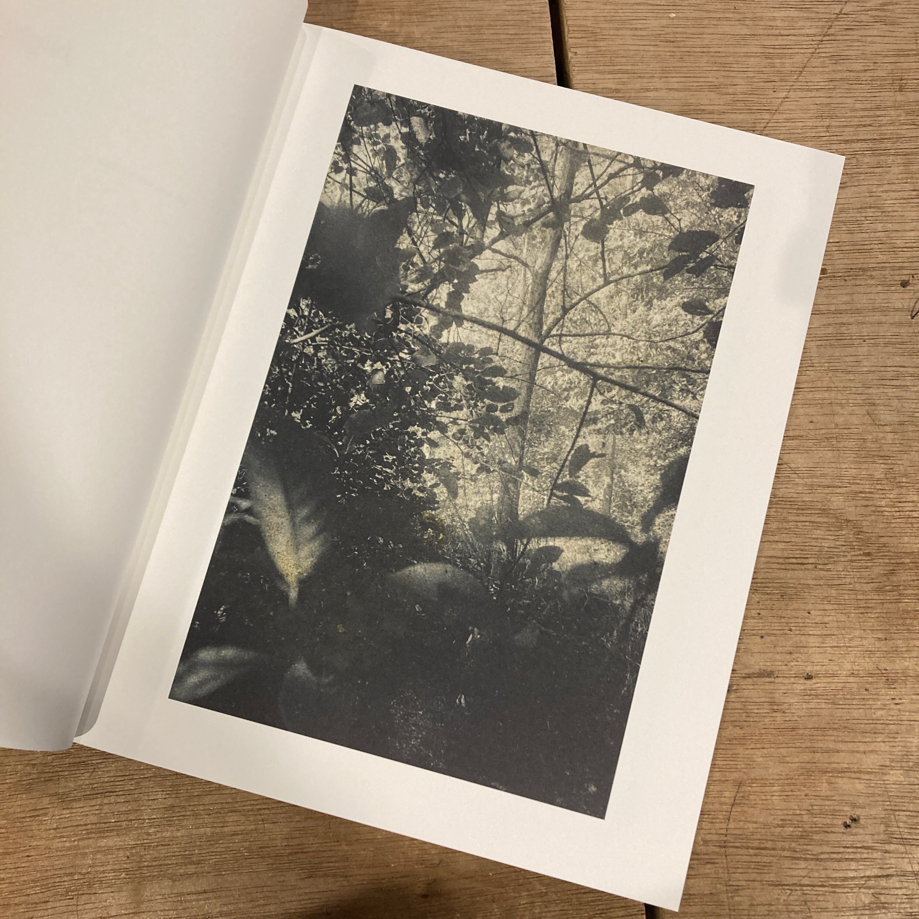 Night Procession [signed] Stephen Gill / スティーブン・ギル | 百年