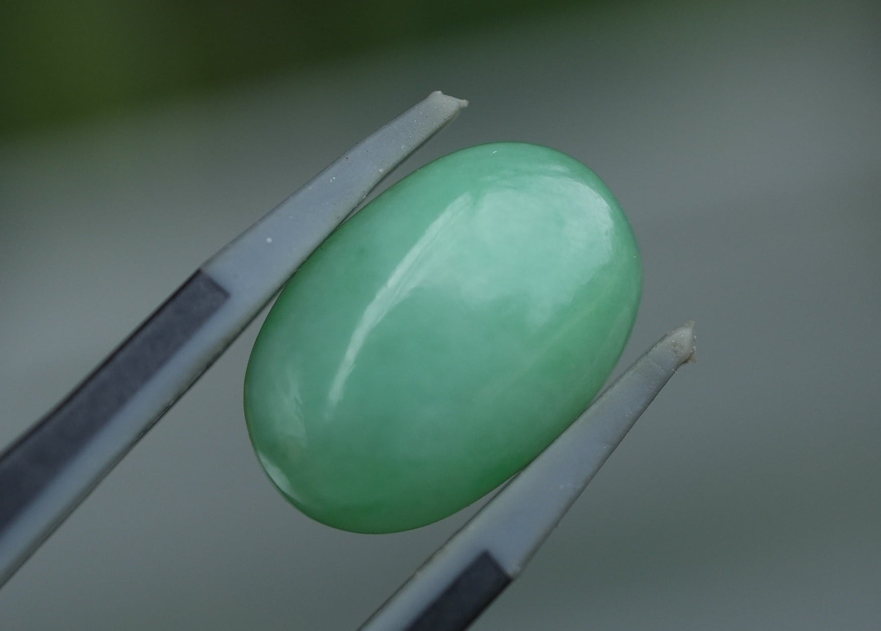 アップルグリーン高品質☆ミャンマー翡翠（本翡翠）s1351 | Funky