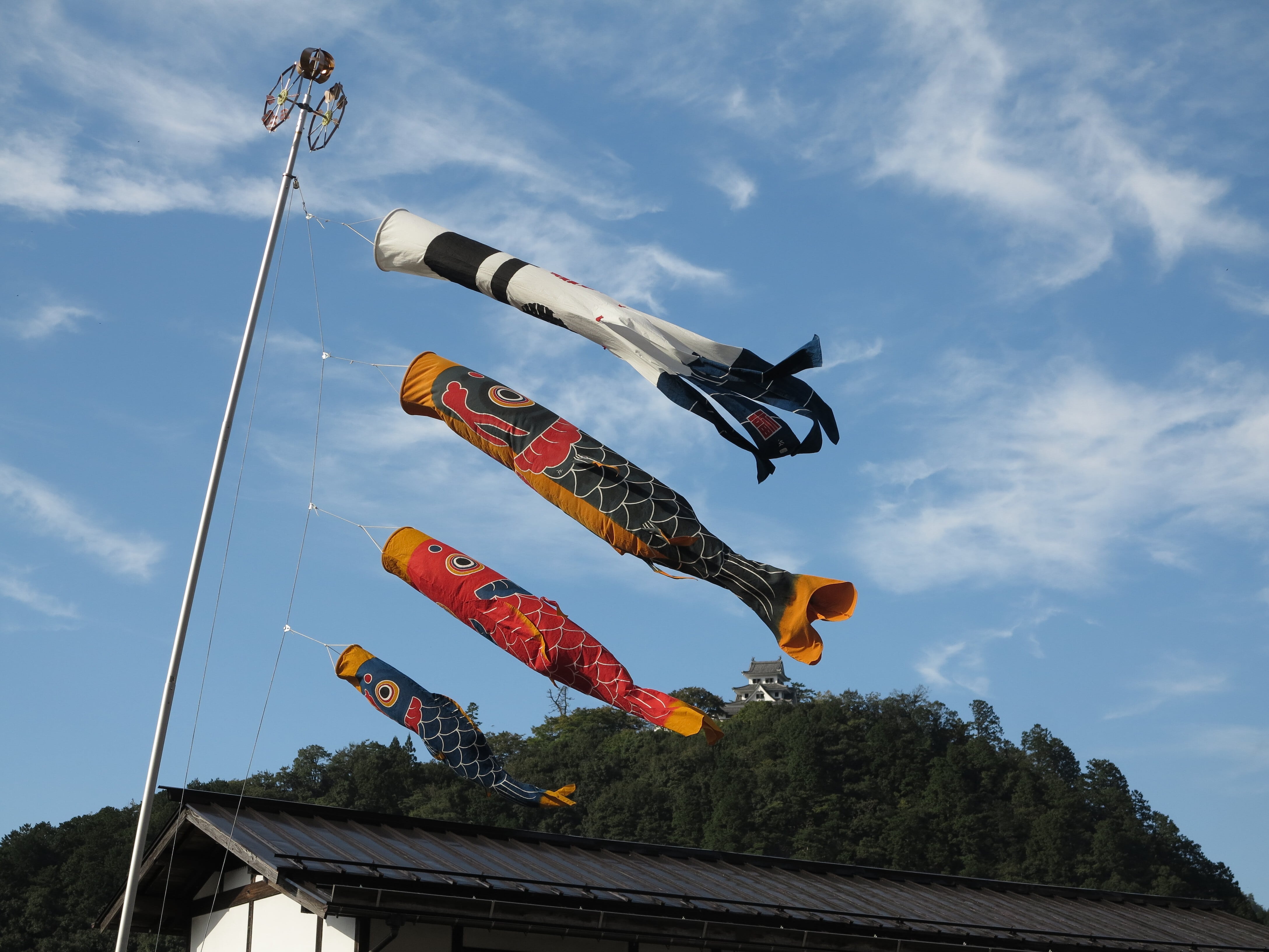 鯉のぼり3間物セット（5.5m鯉のぼりセット） | 郡上本染 渡辺染物店