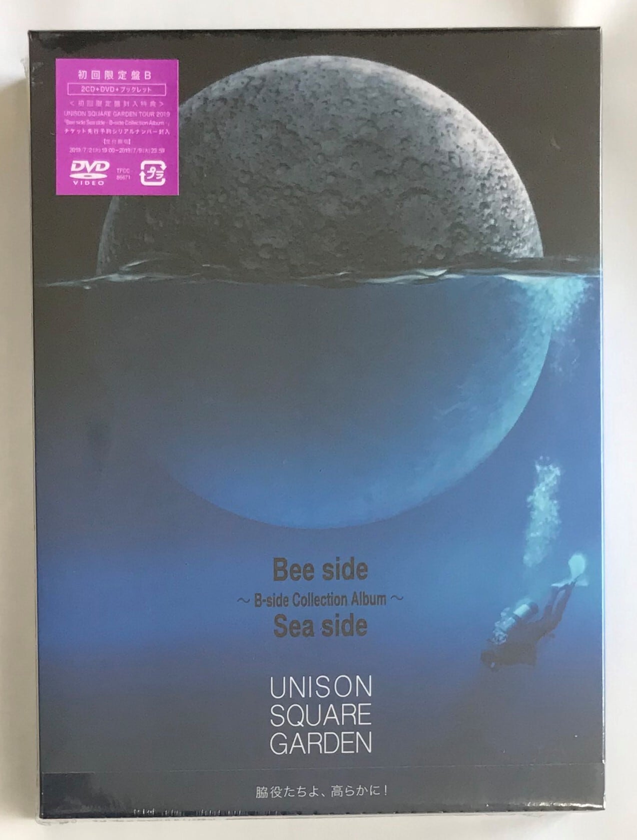 UNISON SQUARE GARDEN/ Bee side Sea