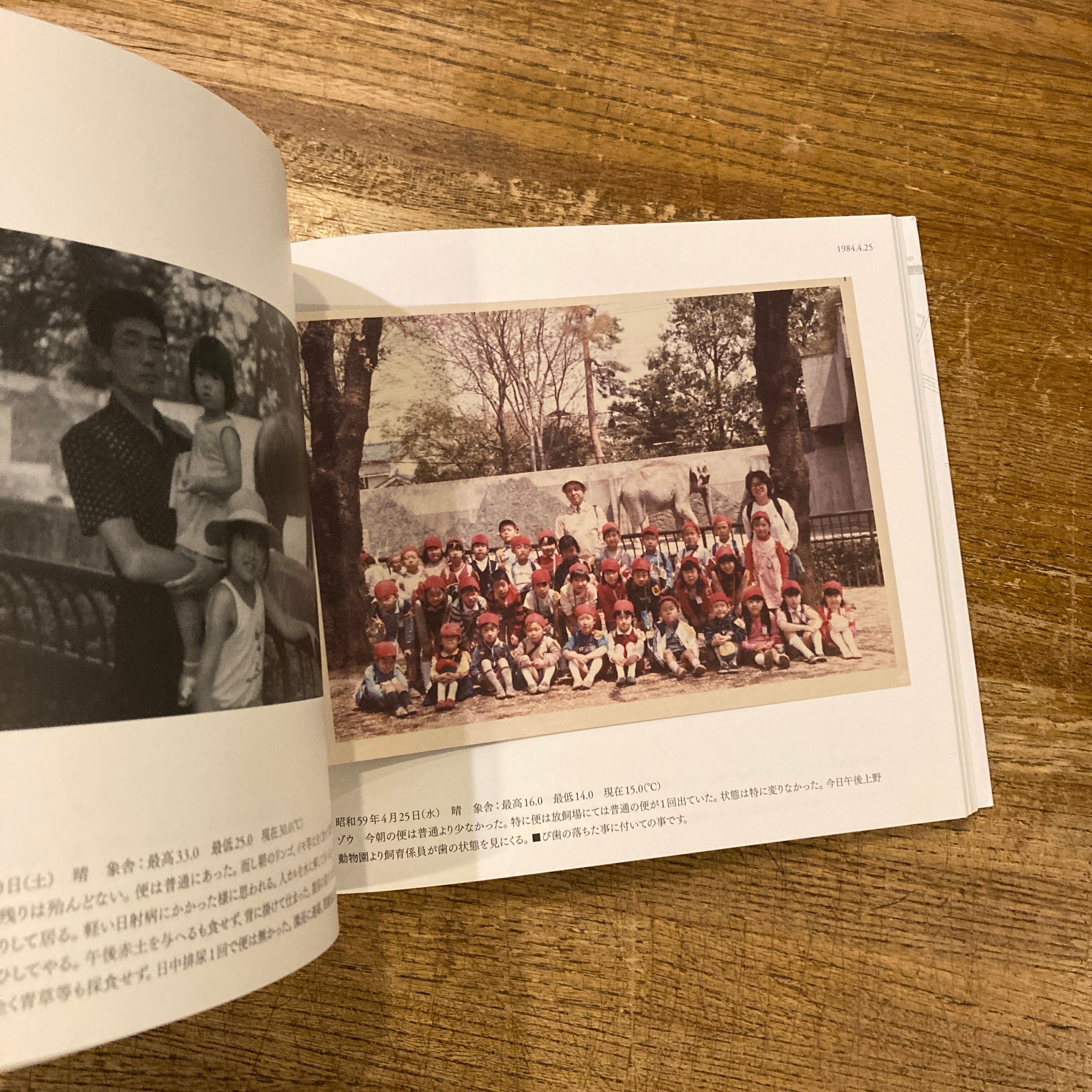 はな子のいる風景 イメージを（ひっ）くりかえす | 百年