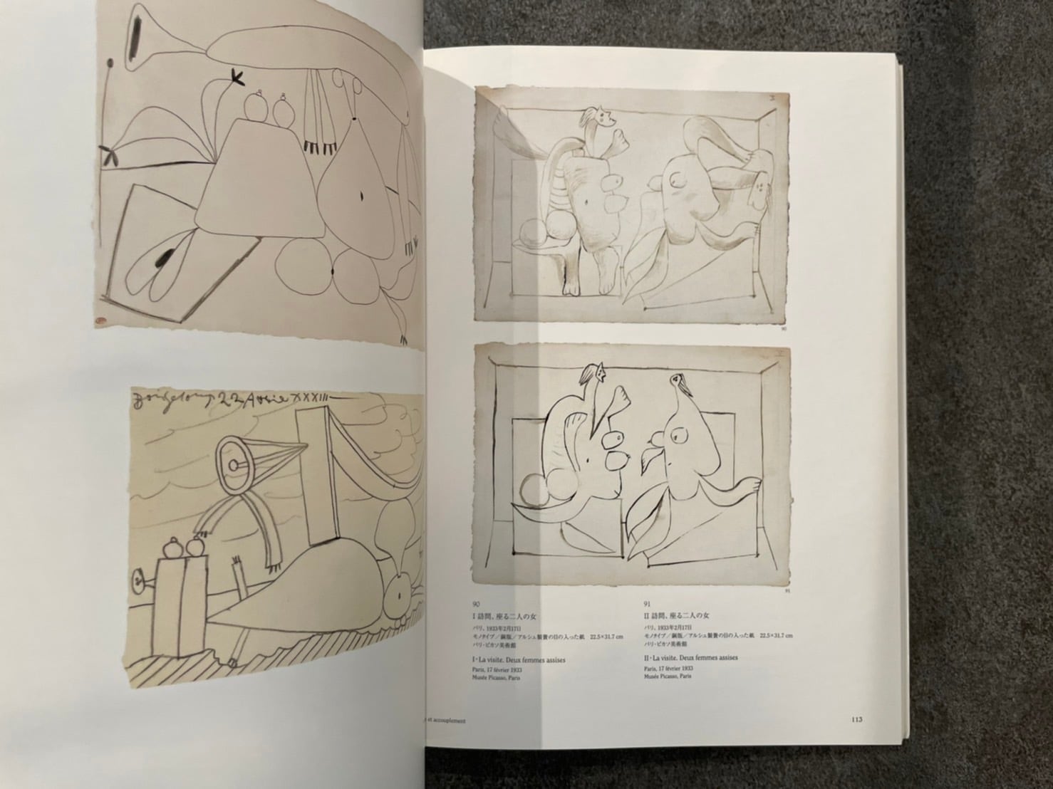 VM036】ピカソ展 躰とエロス /visual book | KITAZAWA BOOKSTORE