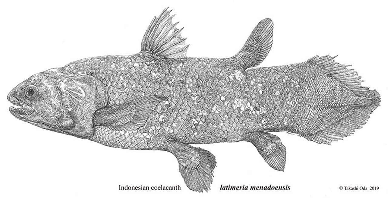 86be6662fd00ce7c9b8202a6e6616c