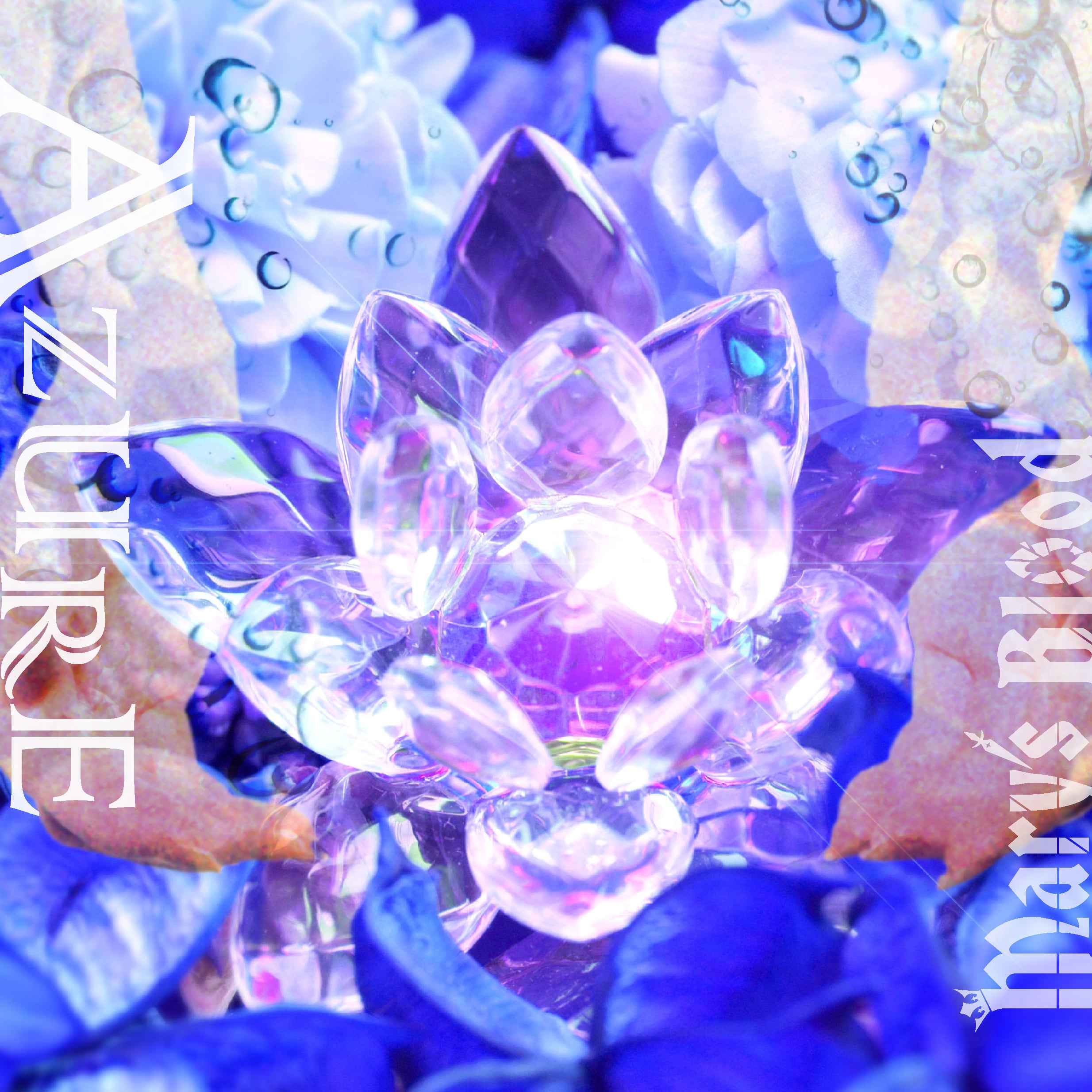 Mary's Blood 10th Anniversary Box DVD | Mary's Blood Shop