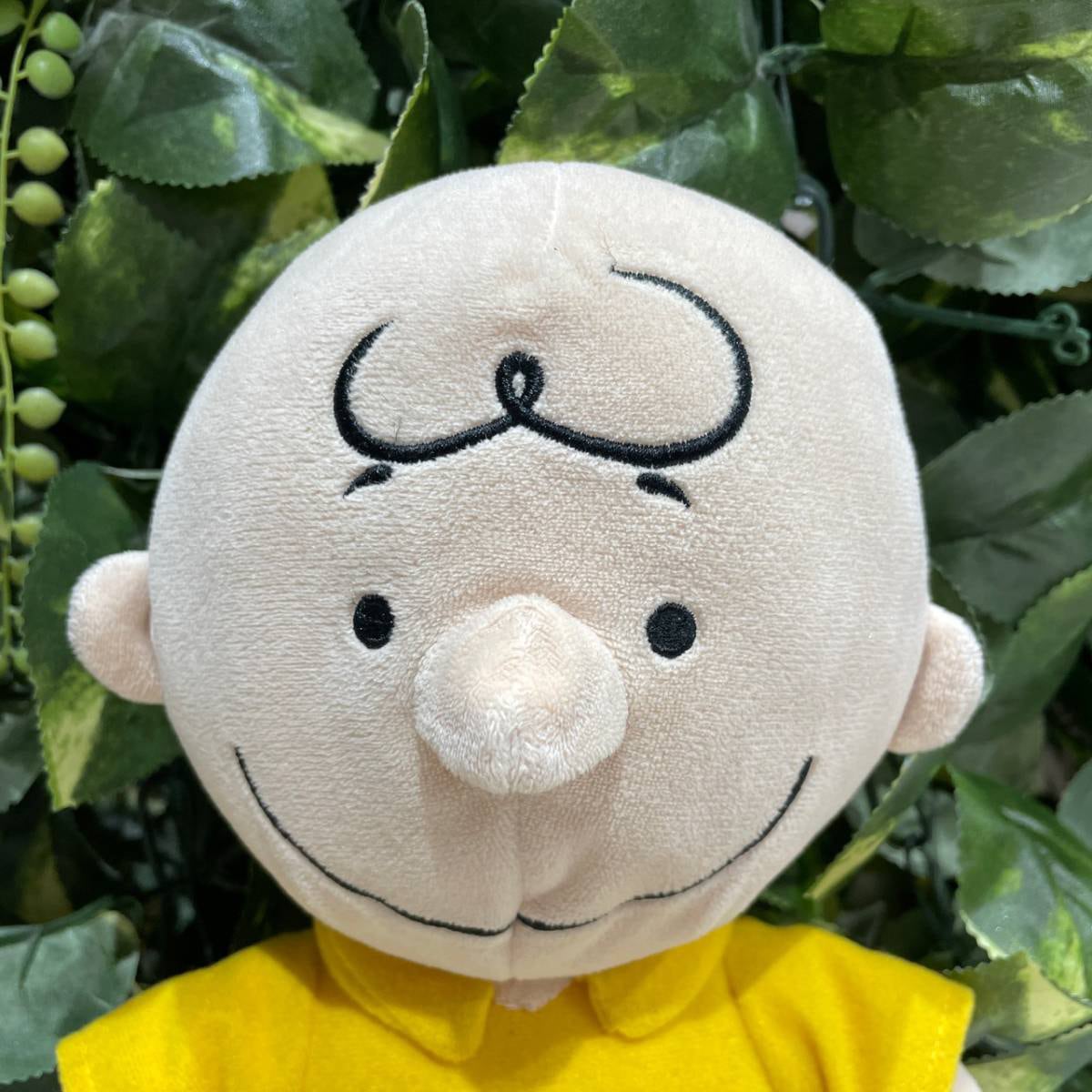 ☆チャーリーブラウンくん☆スヌーピー☆ピーナッツ☆アニメ