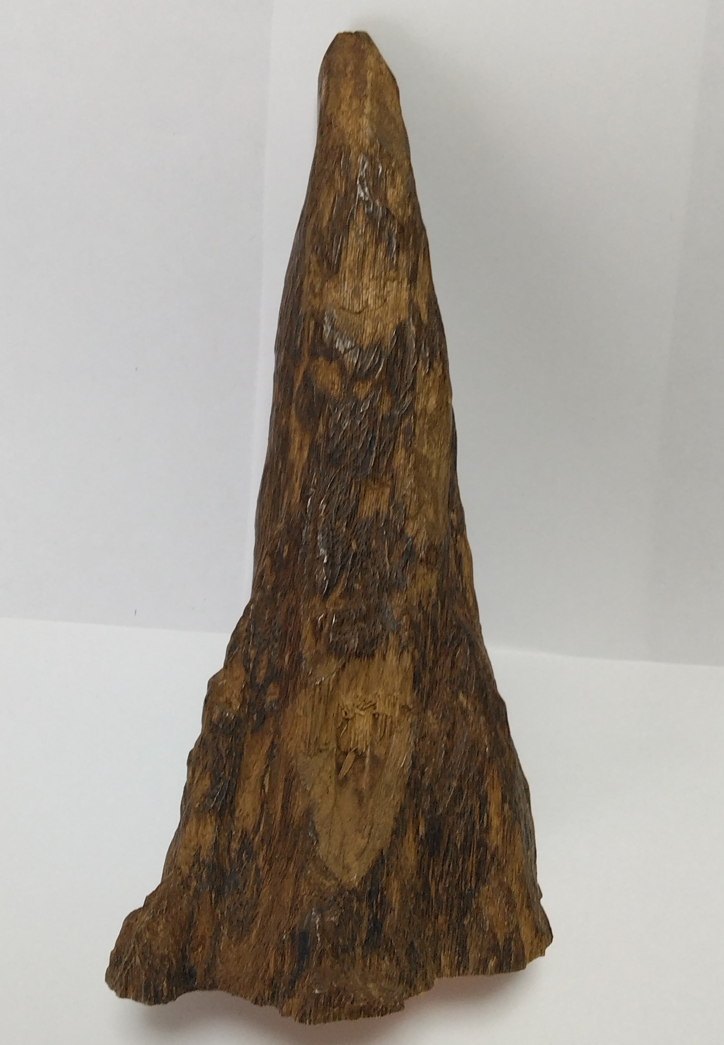 極上沈香・伽羅「榛王（しんのう）」原木B | レアショップ ここにあった！