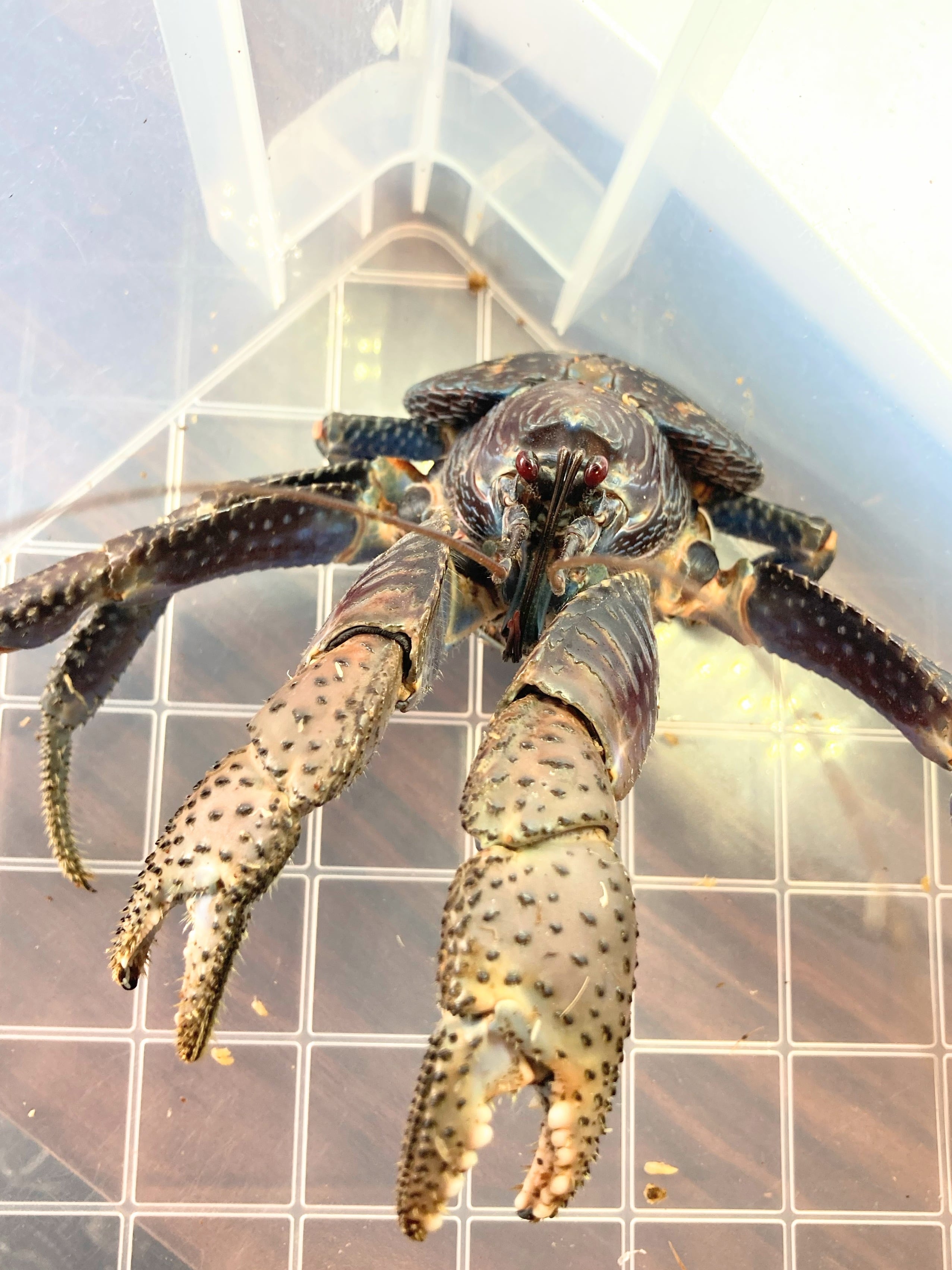 9770b621f08cda908933db2c7ebf58