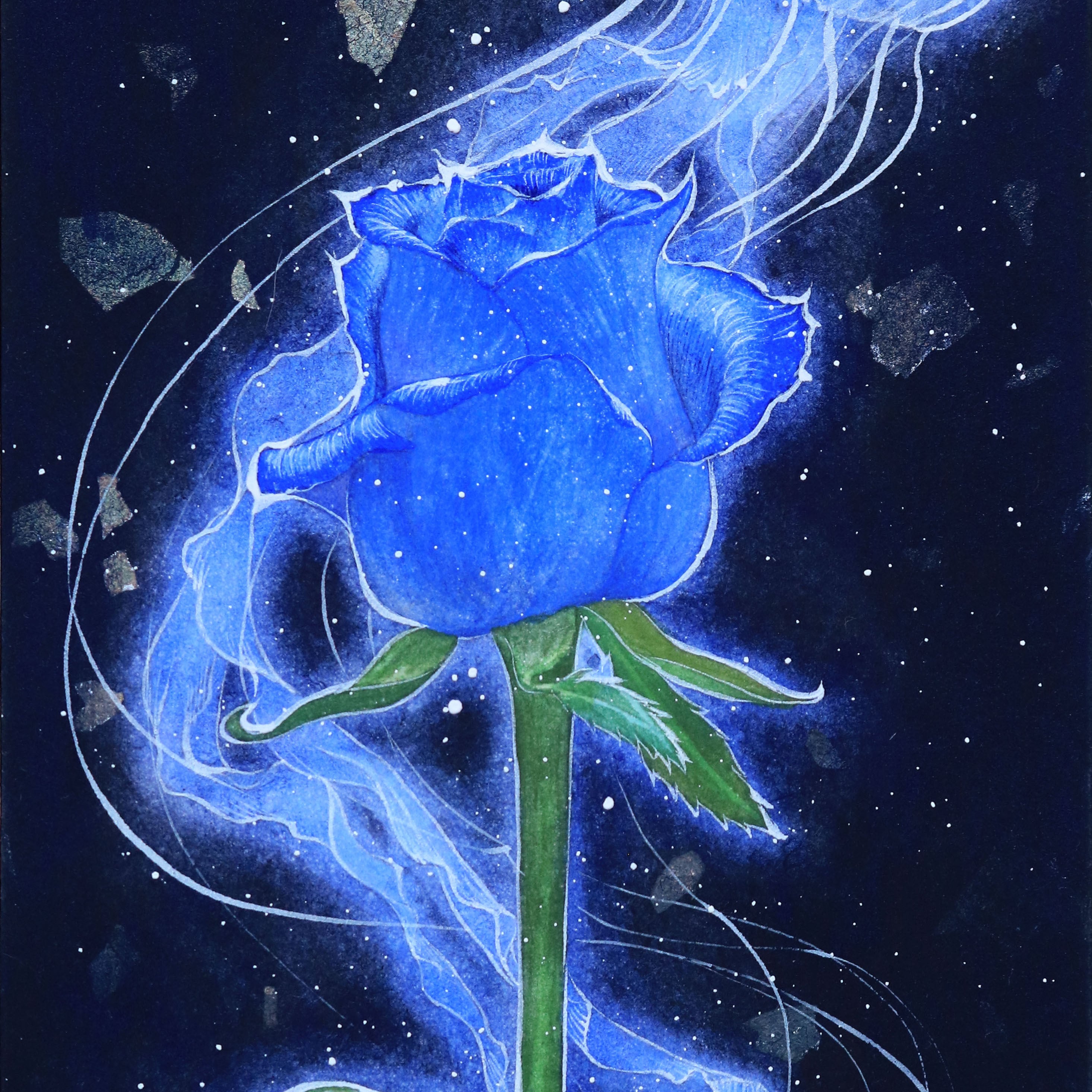 982653e09554112f4faca22a7187b0