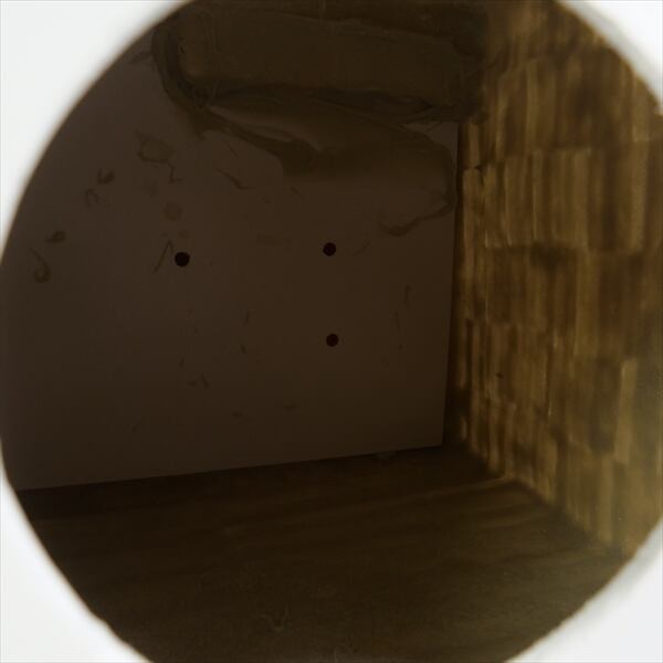 Size【フリー】 SUPREME シュプリーム 23AW Rotary Hero Sticker