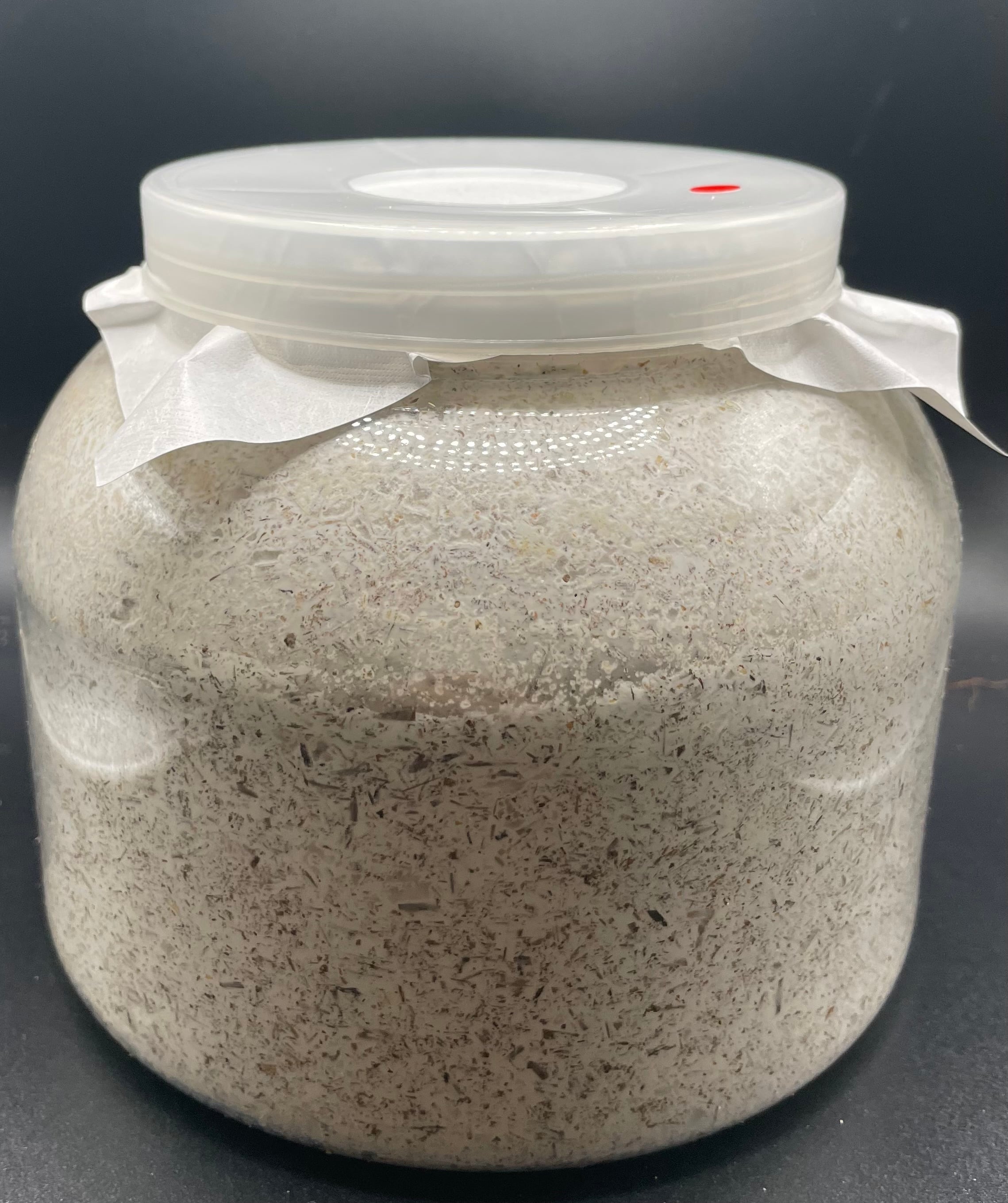 G-ZERO 菌糸ボトル 2300cc | KPW公式オンラインショップ