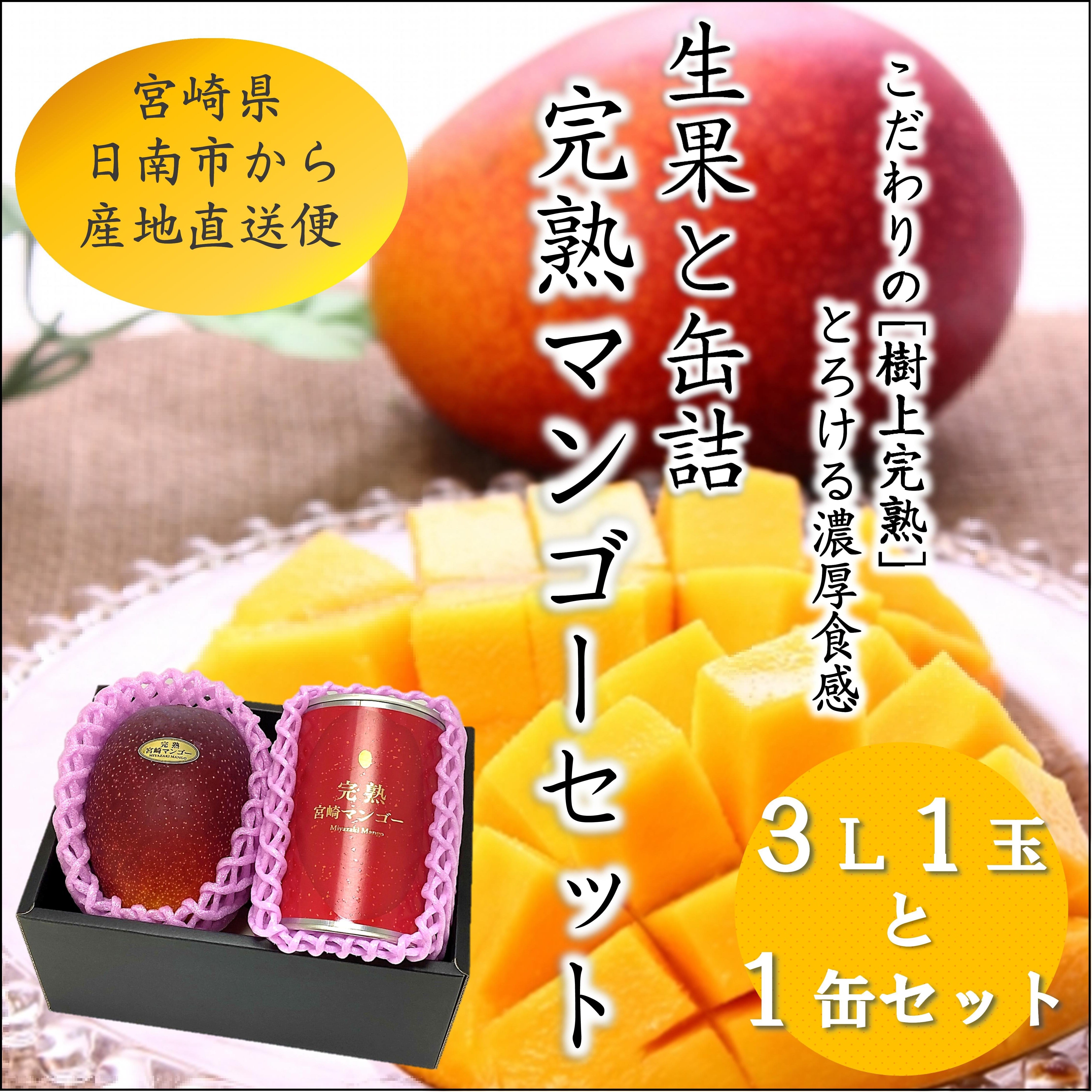 宮崎完熟マンゴーセット 生果3L×1玉と缶詰1缶 | はなやか旬市場