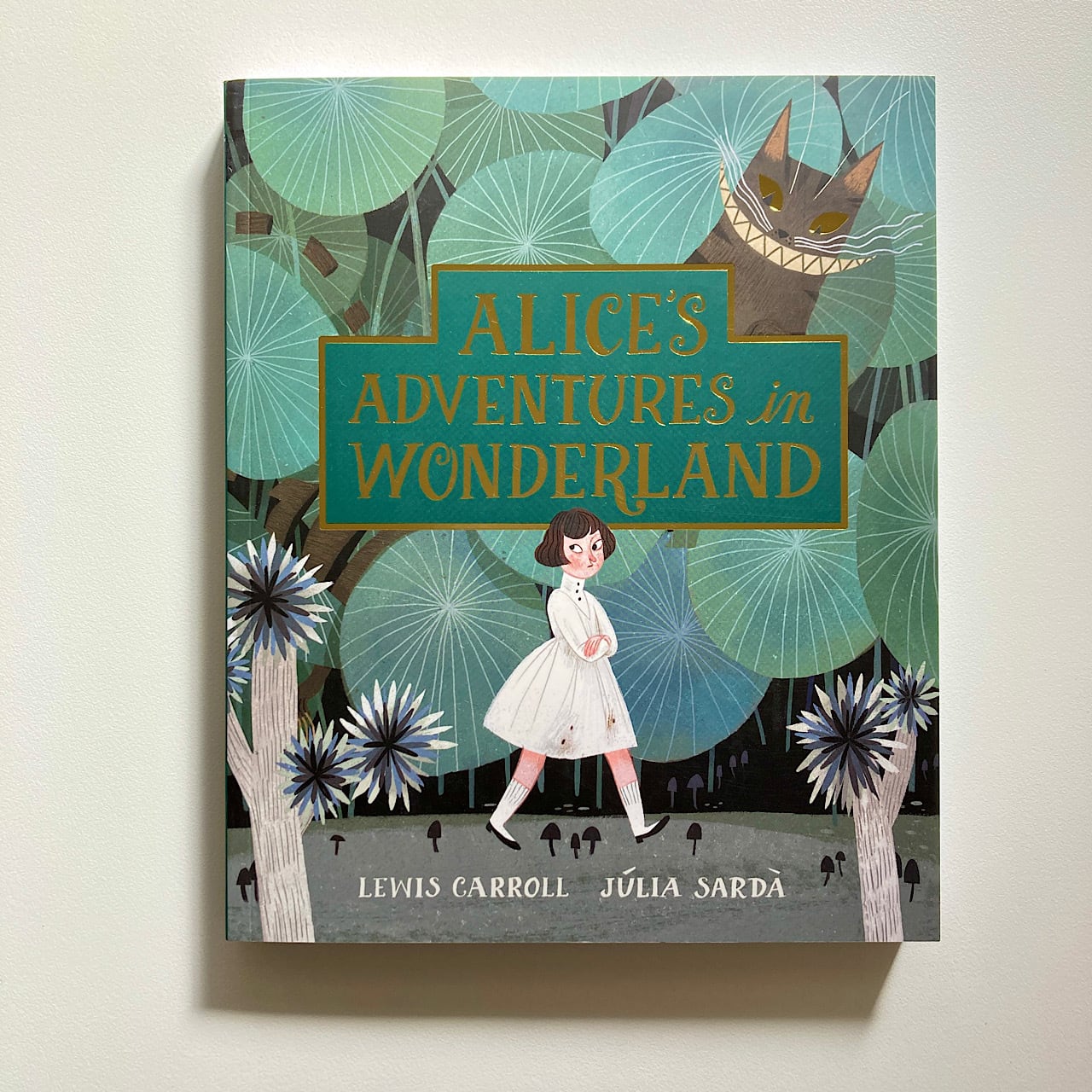 9e1aa8ca5216a1748d51a4ae929028