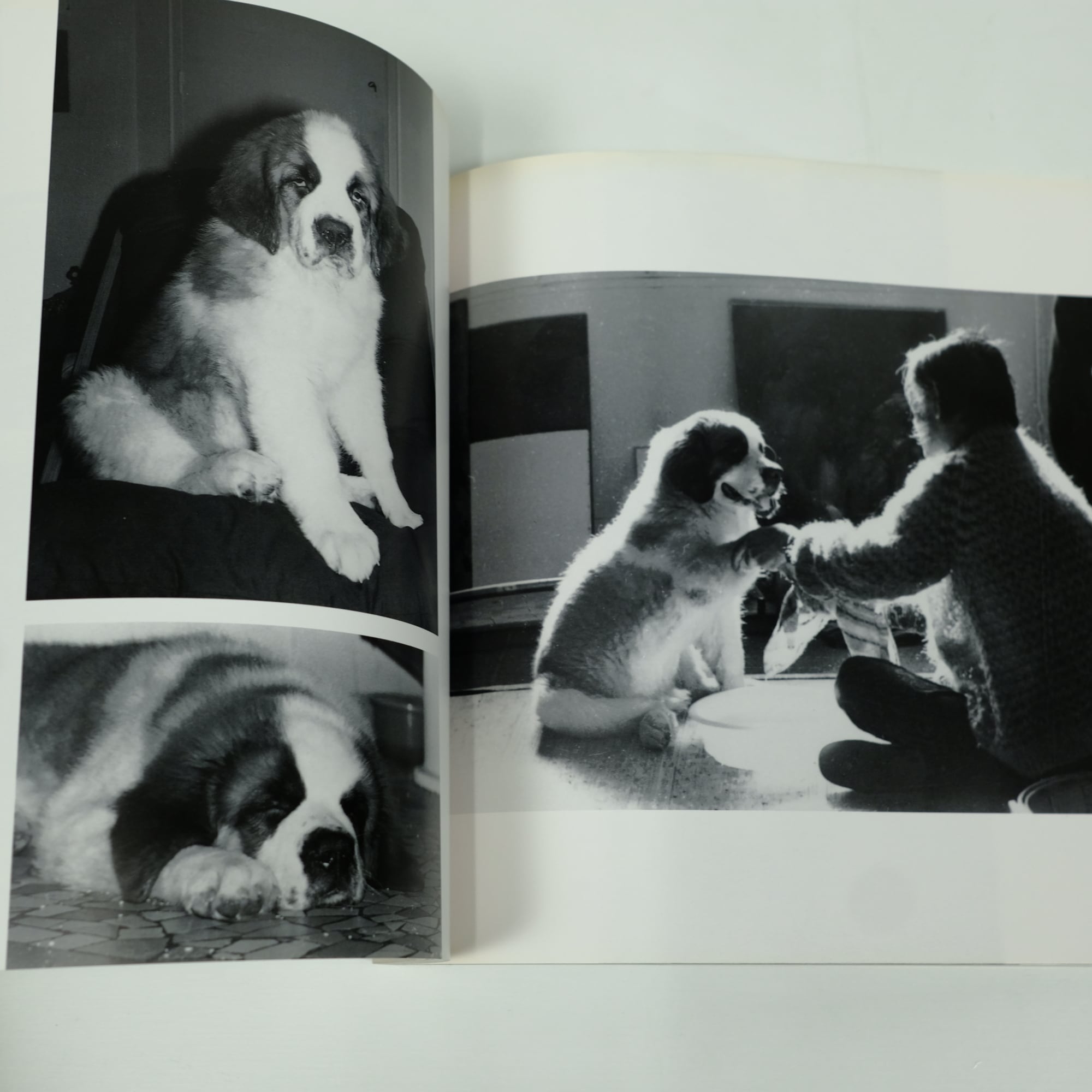 鴨居玲 写真集 富山栄美子撮影 画家 Rey Camoy 初版 希少 古書 | Pay ID