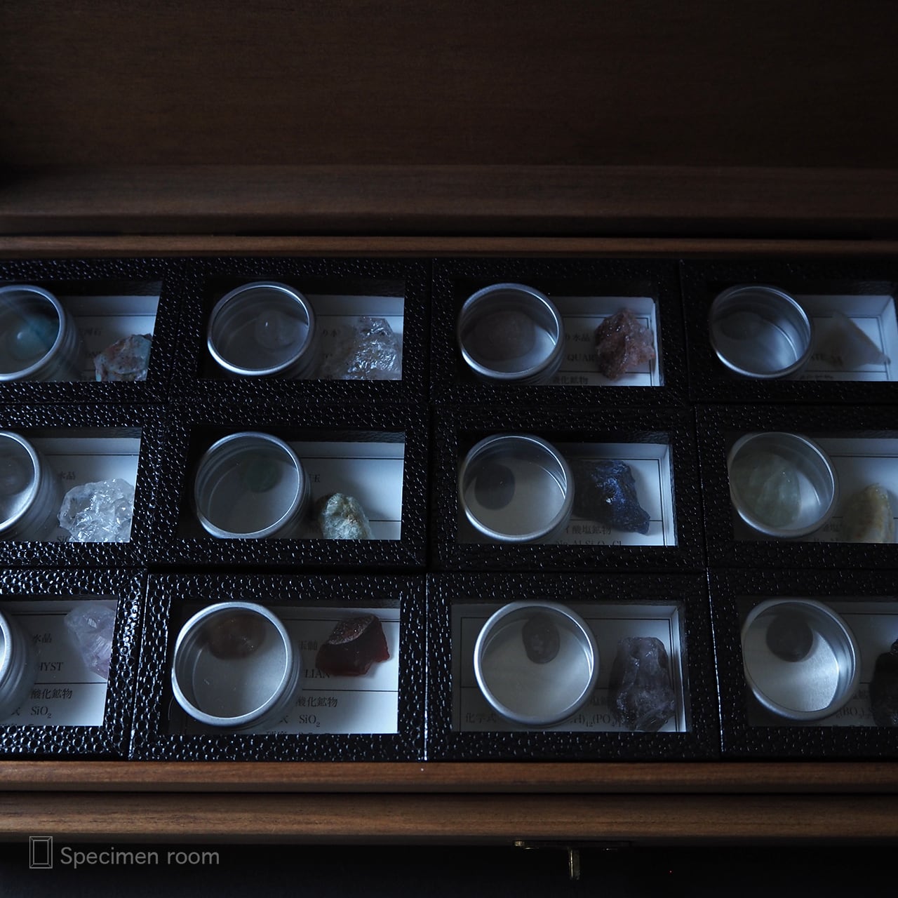 鉱物標本セット（30箱）。 | 標本部屋を覗く幽霊。