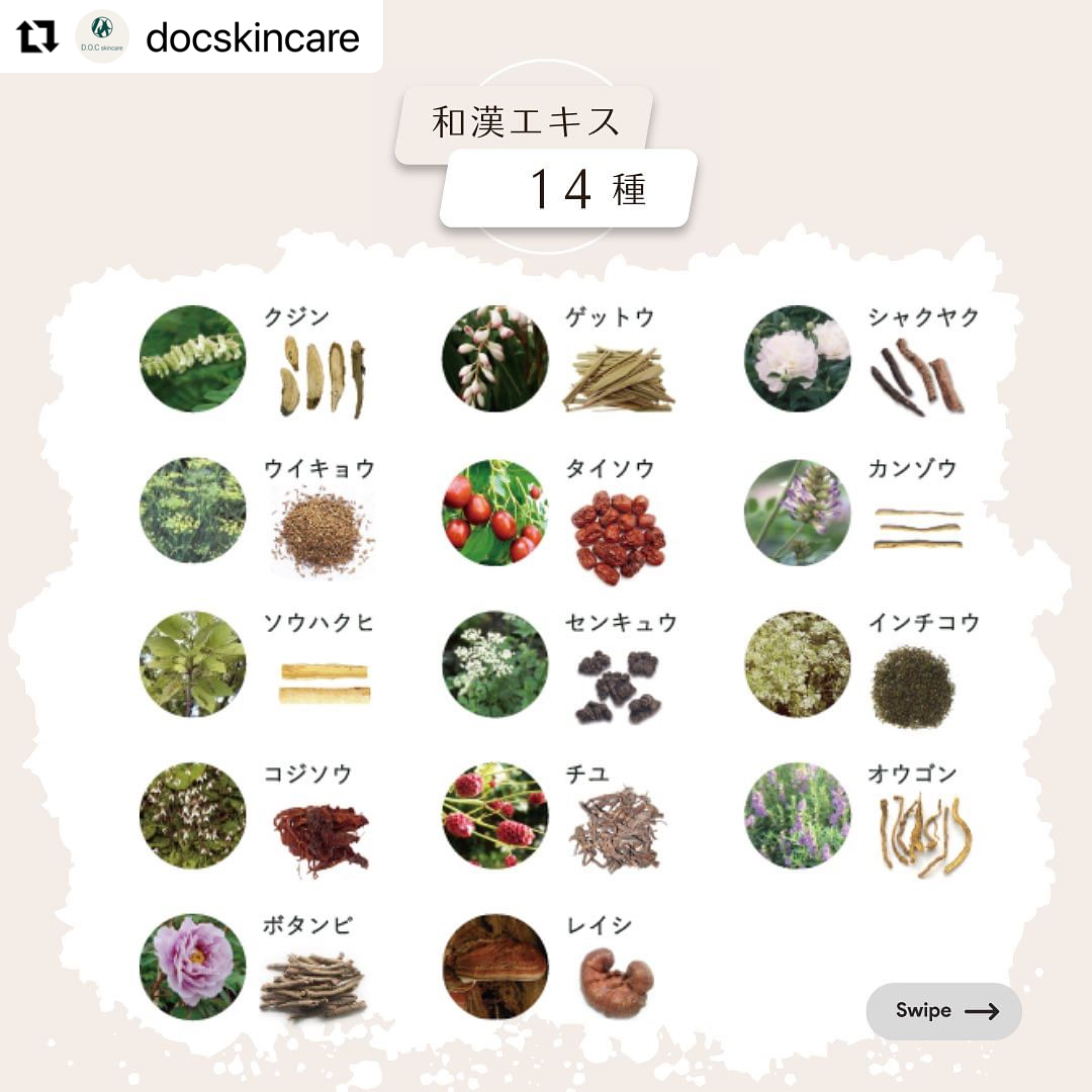 NO7 ディープリペアクリーム（DOCスキンケア） | Bow