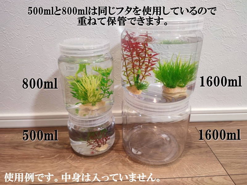 飼育容器800ml昆虫飼育ケース2個セット（幼虫、昆虫、カブトムシ