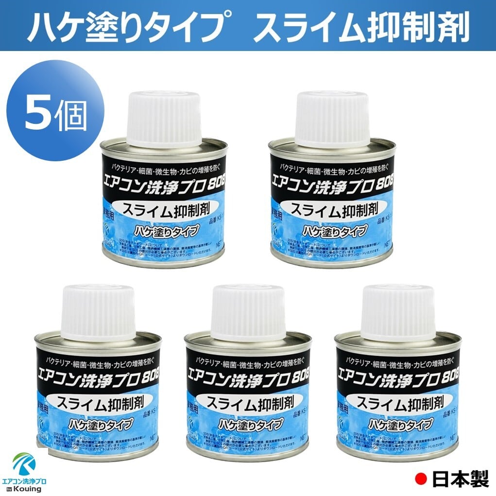 スライム 抑制剤 ハケ塗タイプ 100g 5缶 エアコン洗浄プロ808