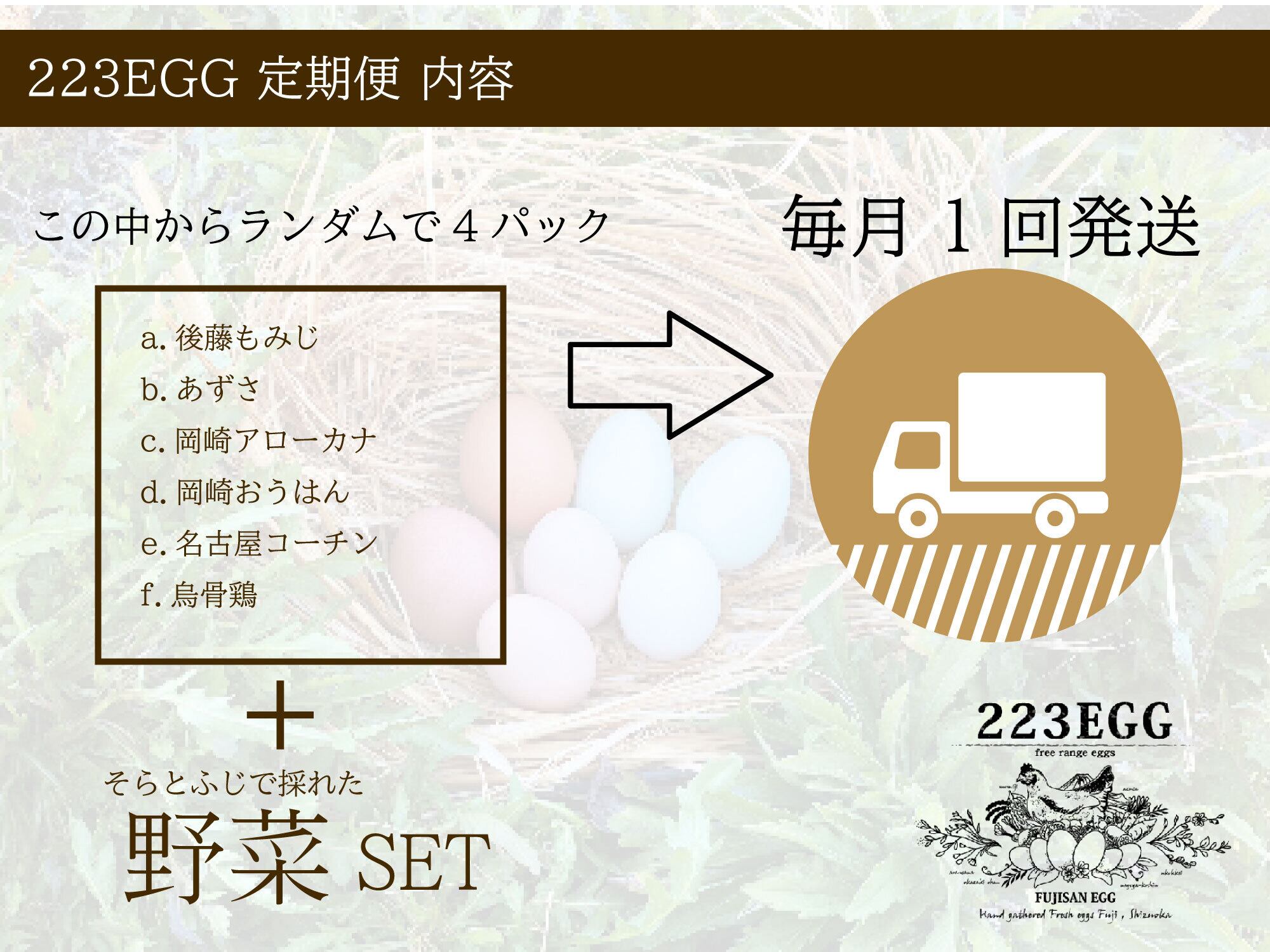223EGG 定期便 ［24個（6個パック×4）+野菜セット］【月1回発送】 | 223egg