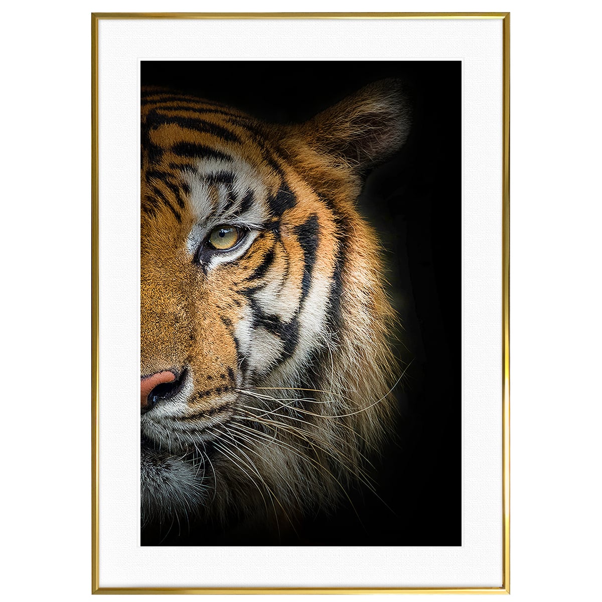 虎 | インテリアアート写真・通販のアートスクワッド