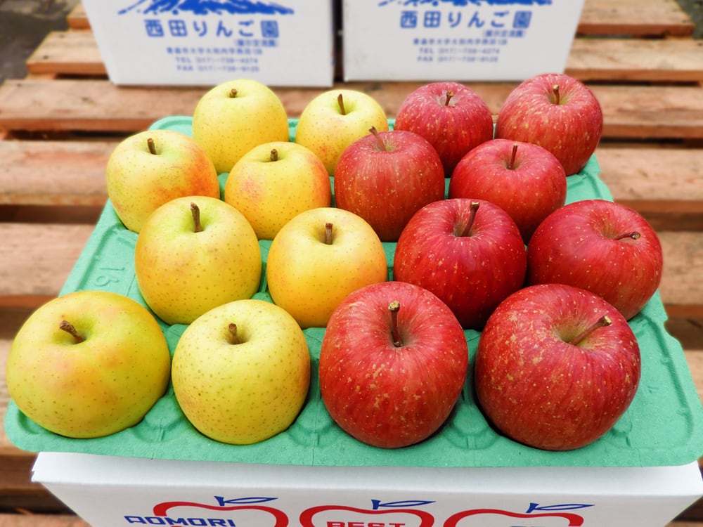 贈答用】りんご 3段（サンフジ・王林詰合せ） | 西田りんご園