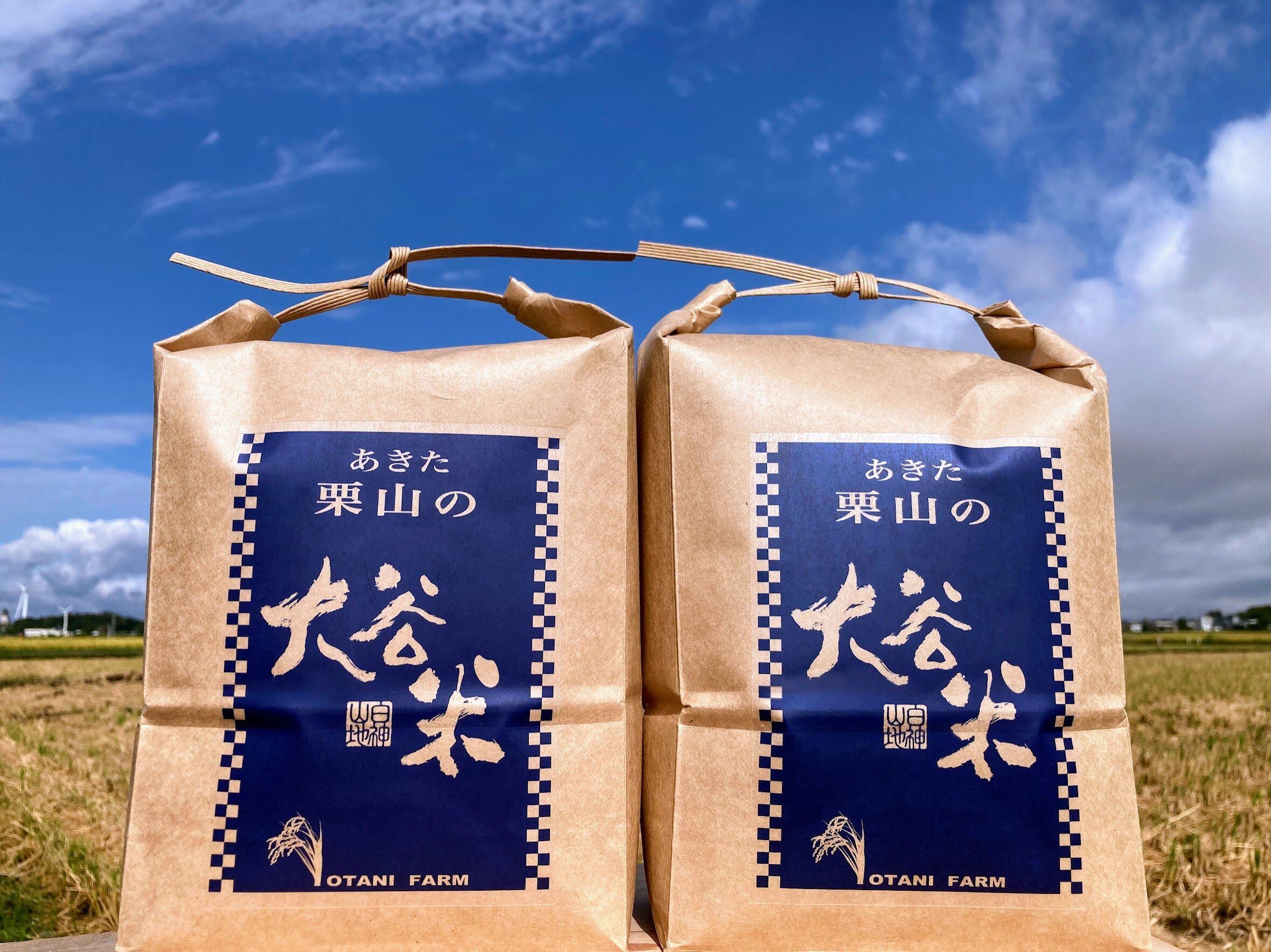 精米 1800g×2個 あきたこまち 大谷米 令和7年度産 単一農家米100