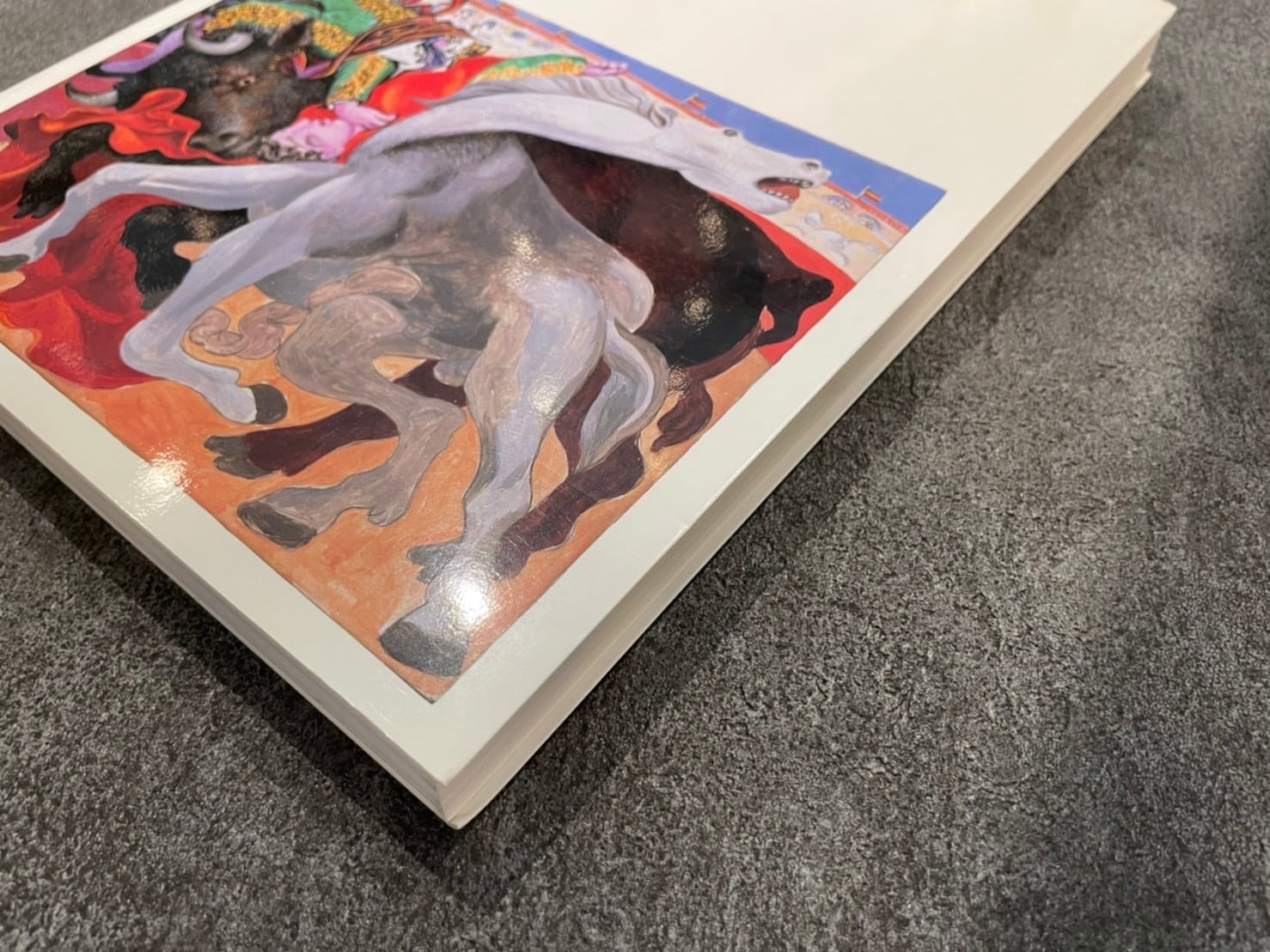 VM036】ピカソ展 躰とエロス /visual book | KITAZAWA BOOKSTORE