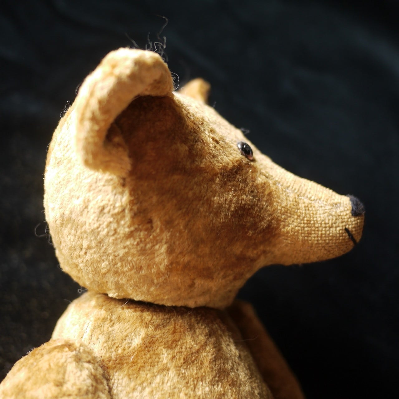 アンティークベア テディベア | こりすのパン屋Base店 （世界の蚤の市