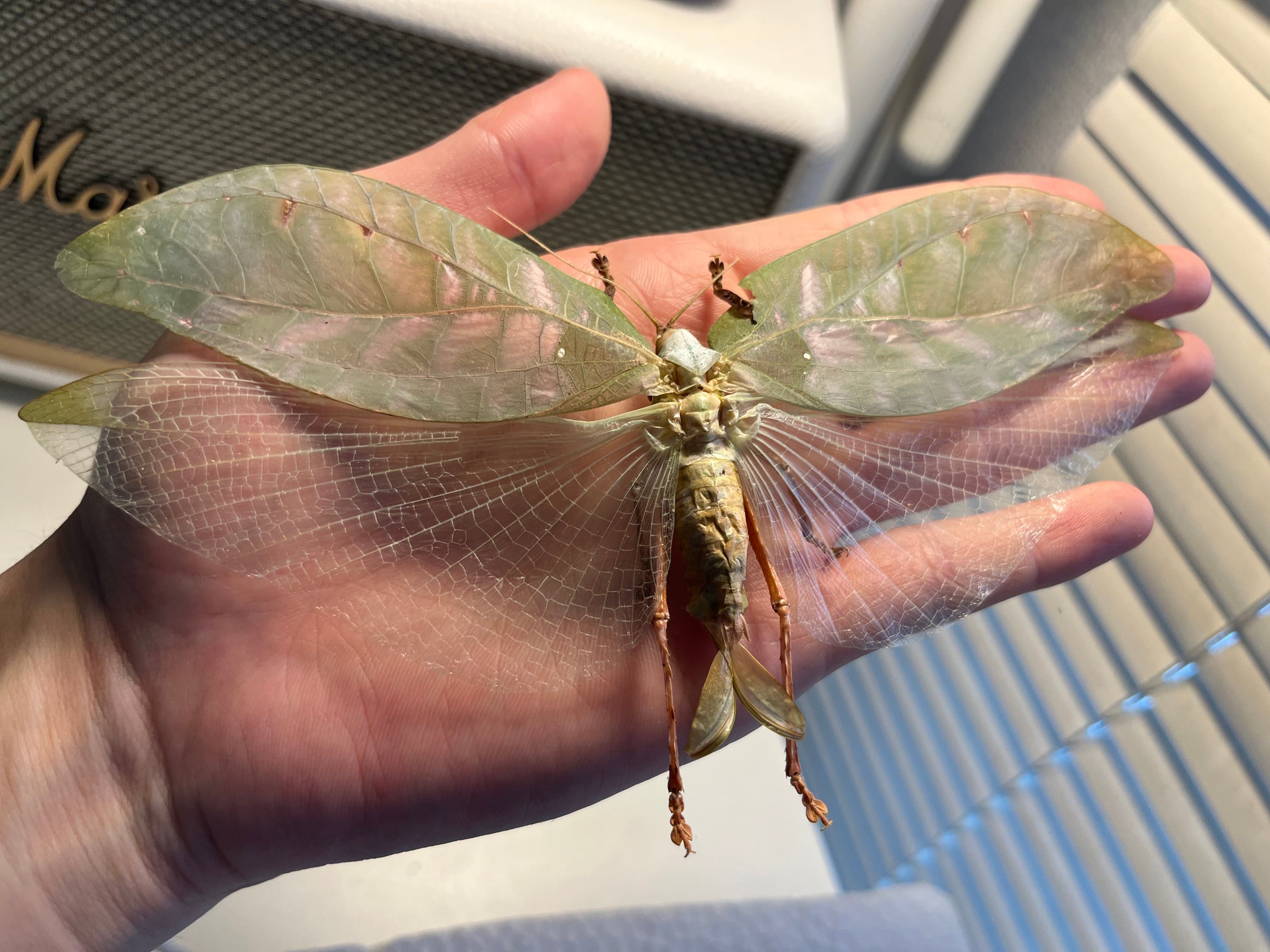 0cc1d205a6cd0a3f97b7d636265a5f