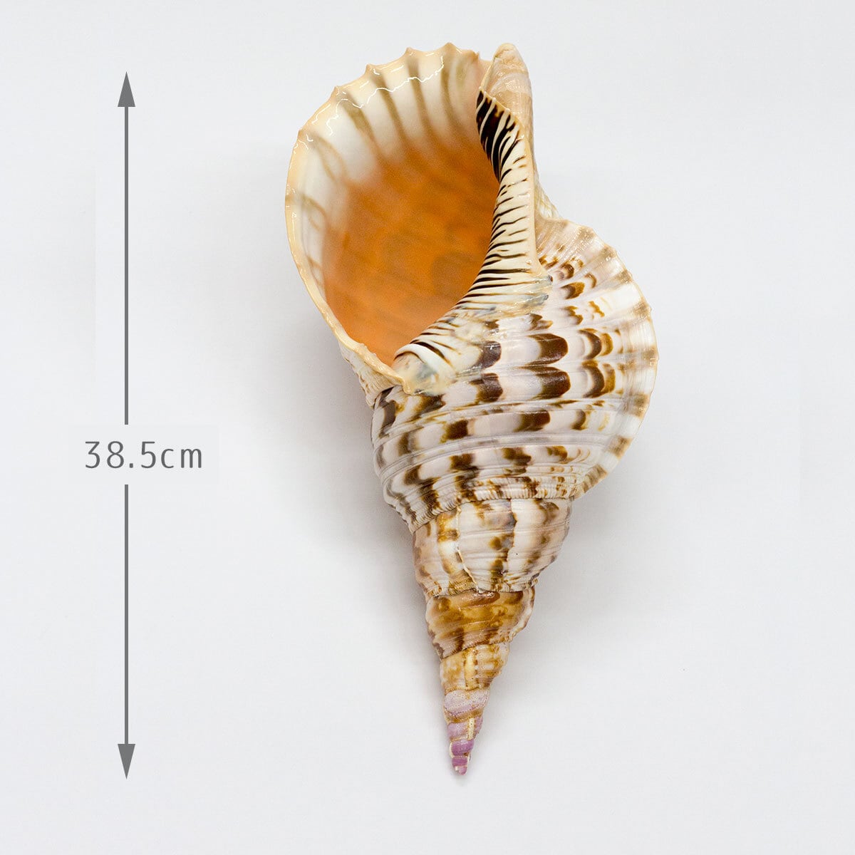 0cedb212d69e699fed42c90c72e873