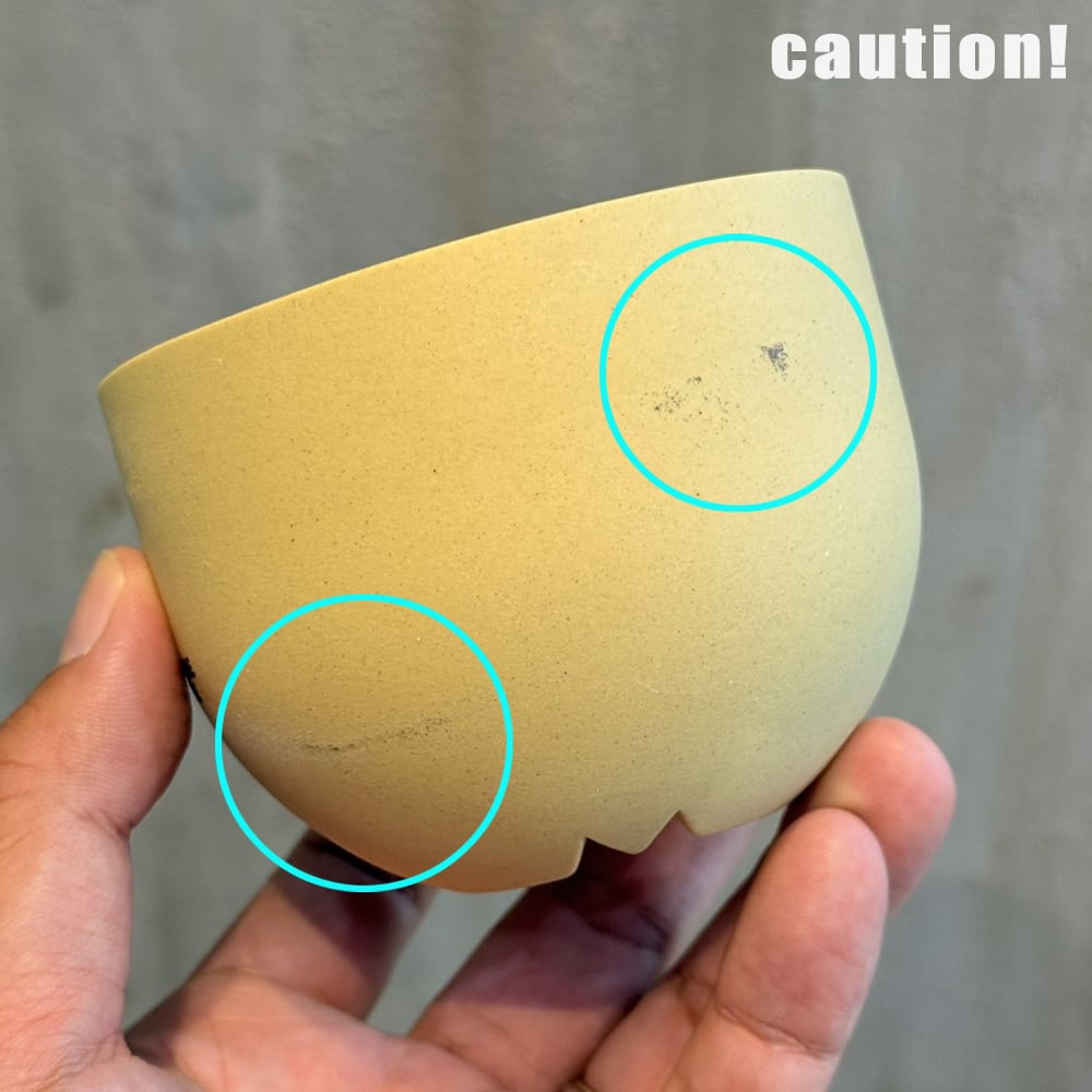 植物鉢】新色！【植物鉢】 Valiem GHOST（BOWL / Lサイズ）単品