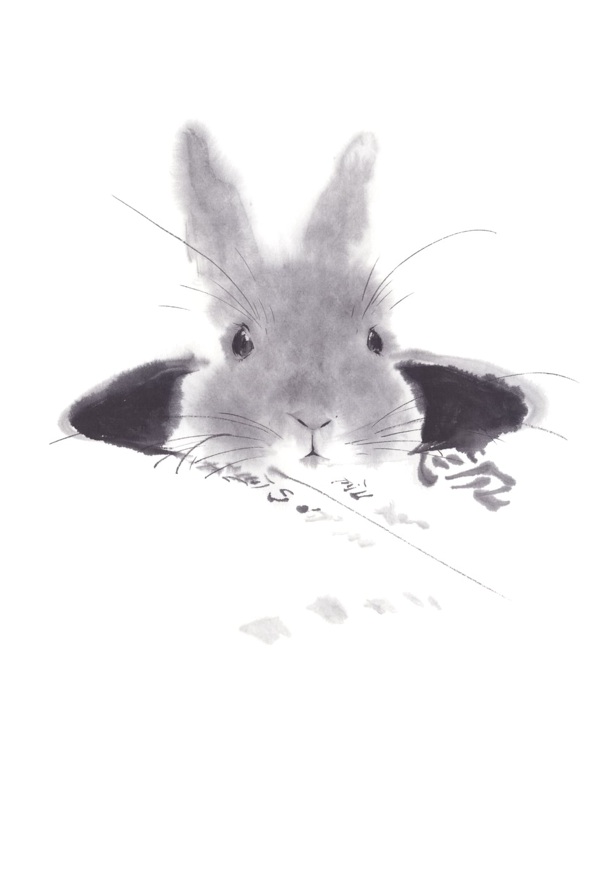 オリジナルポストカード】顔を出すうさぎ | 荒井水墨画ギャラリー
