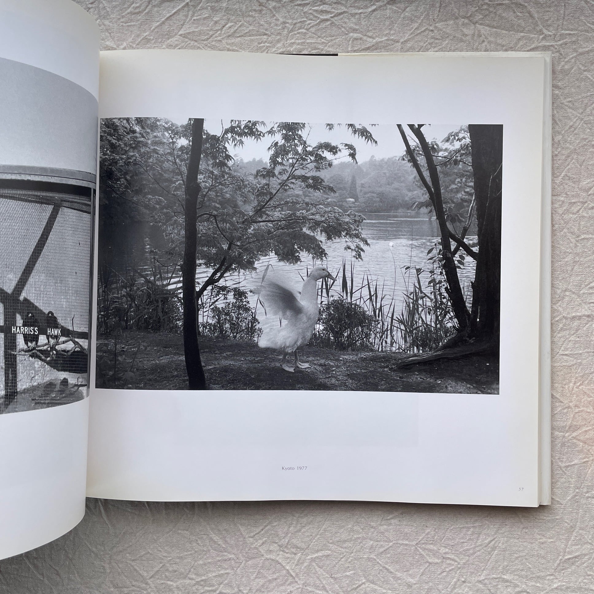 写真集 リー・フリードランダー / LEE FRIEDLANDER | 汀線 / TEISEN BOOKS