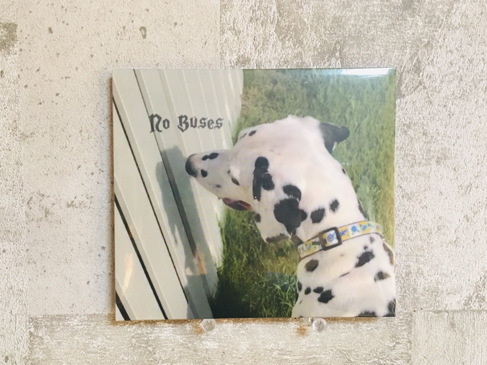 ジャケットへこみあり】No Buses / Boys Loved Her | HOLIDAY! RECORDS