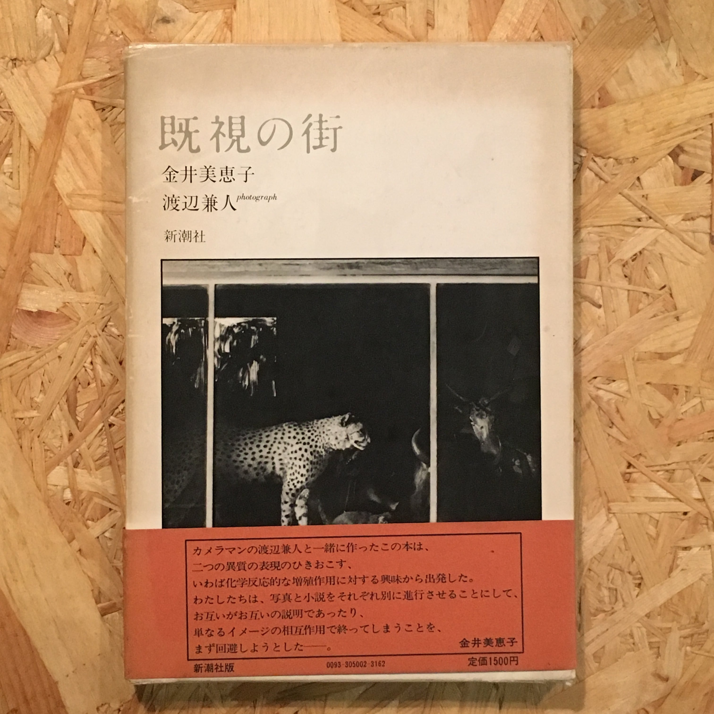 既視の街 / 金井美恵子 渡辺兼人 写真 | Pay ID