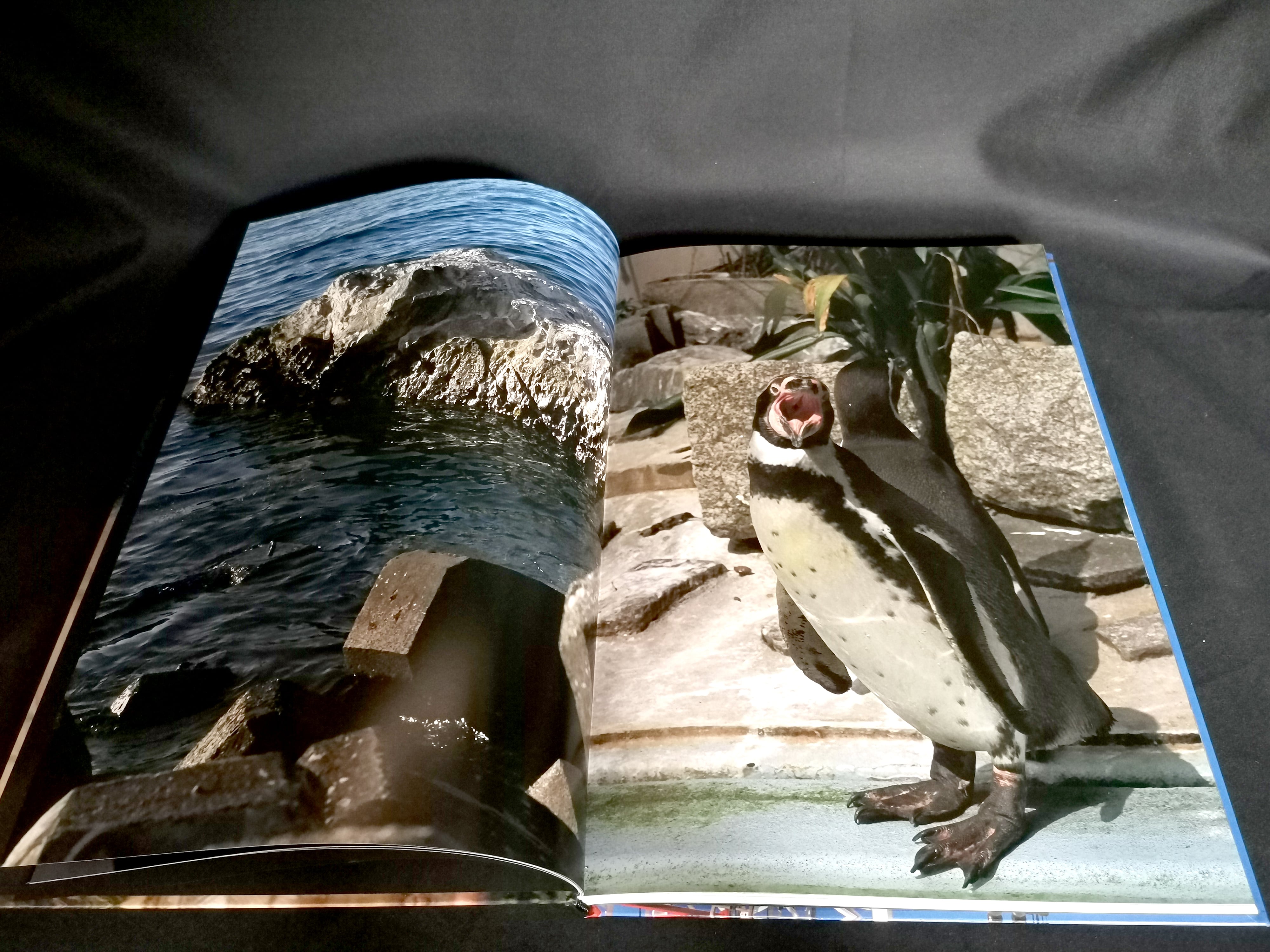 中平卓馬 / Documentary, Takuma Nakahira | PRESSMAN BOOKS