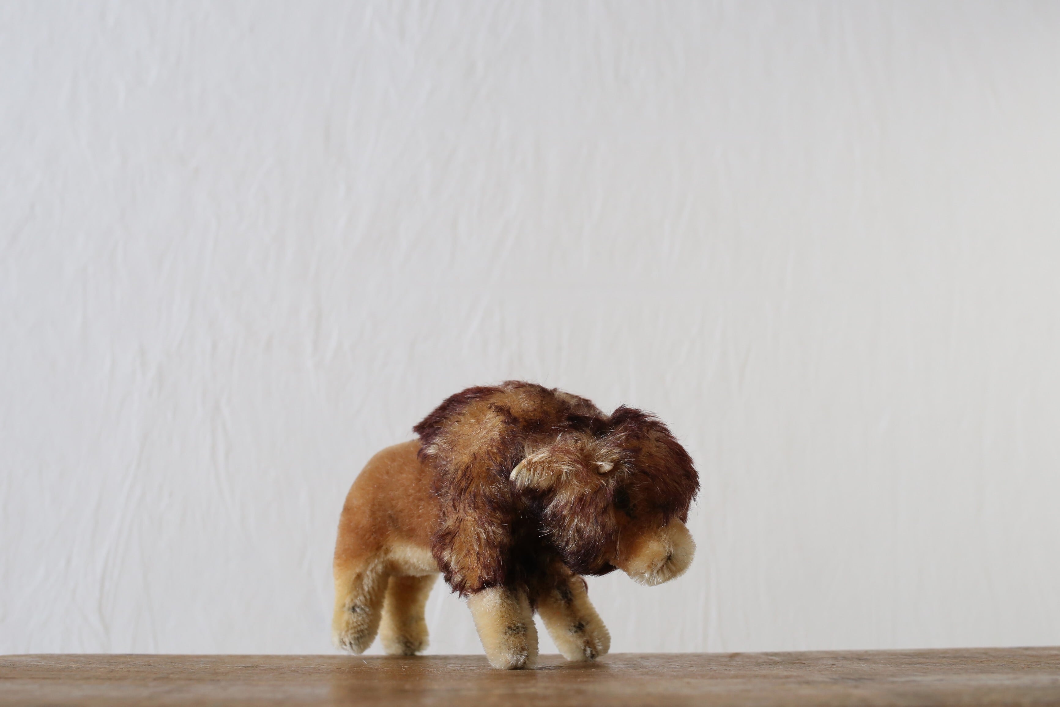 シュタイフ steiff | EMUPARIS