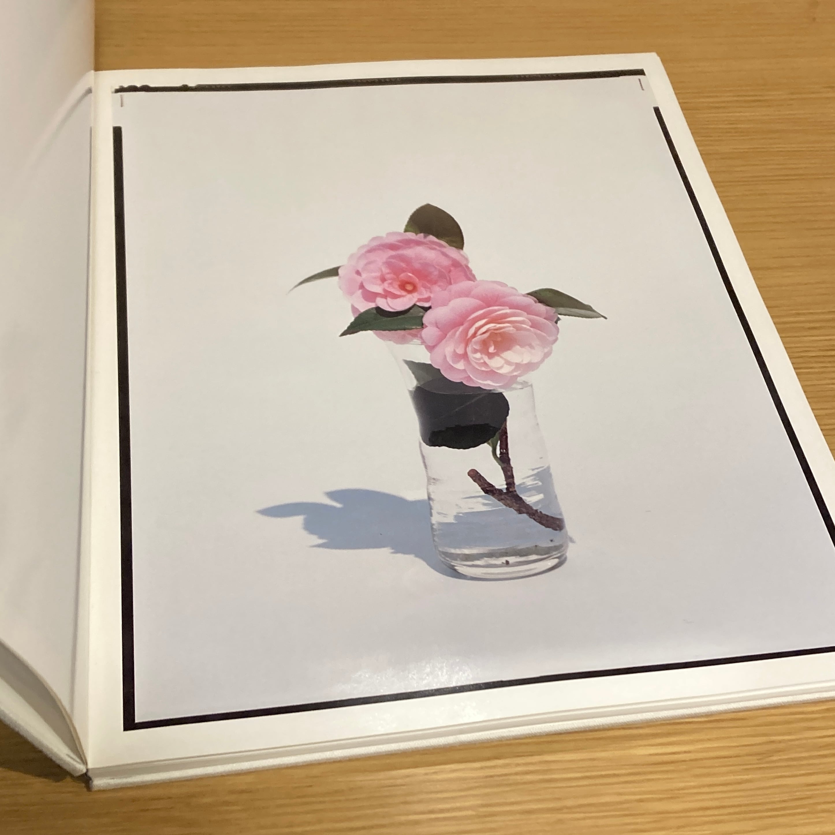 Flowers / 上田義彦 Yoshihiko Ueda | 百年