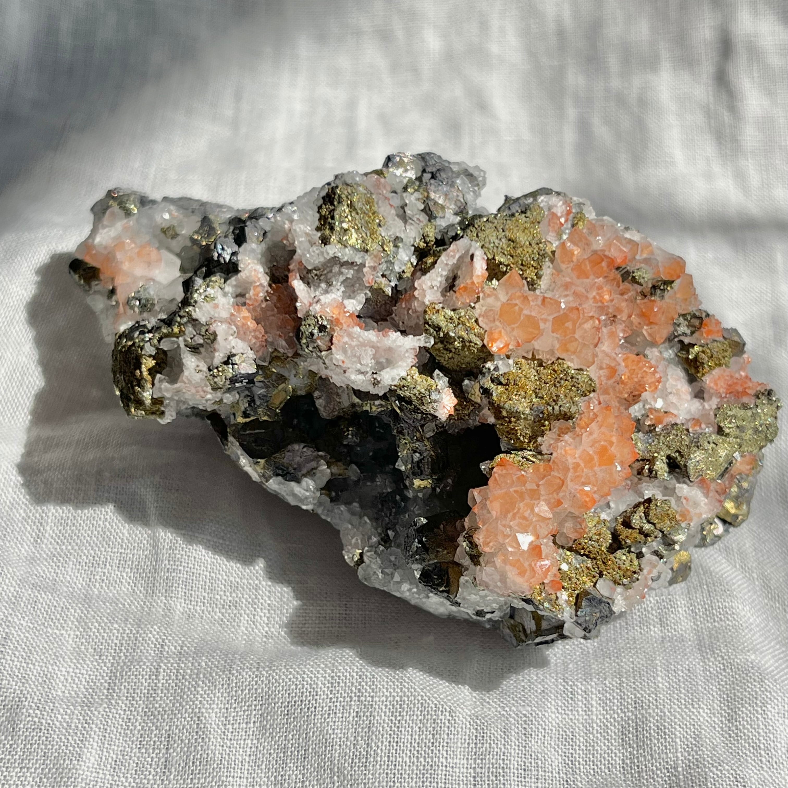 205fc005a8e47b9c9db34839022dda