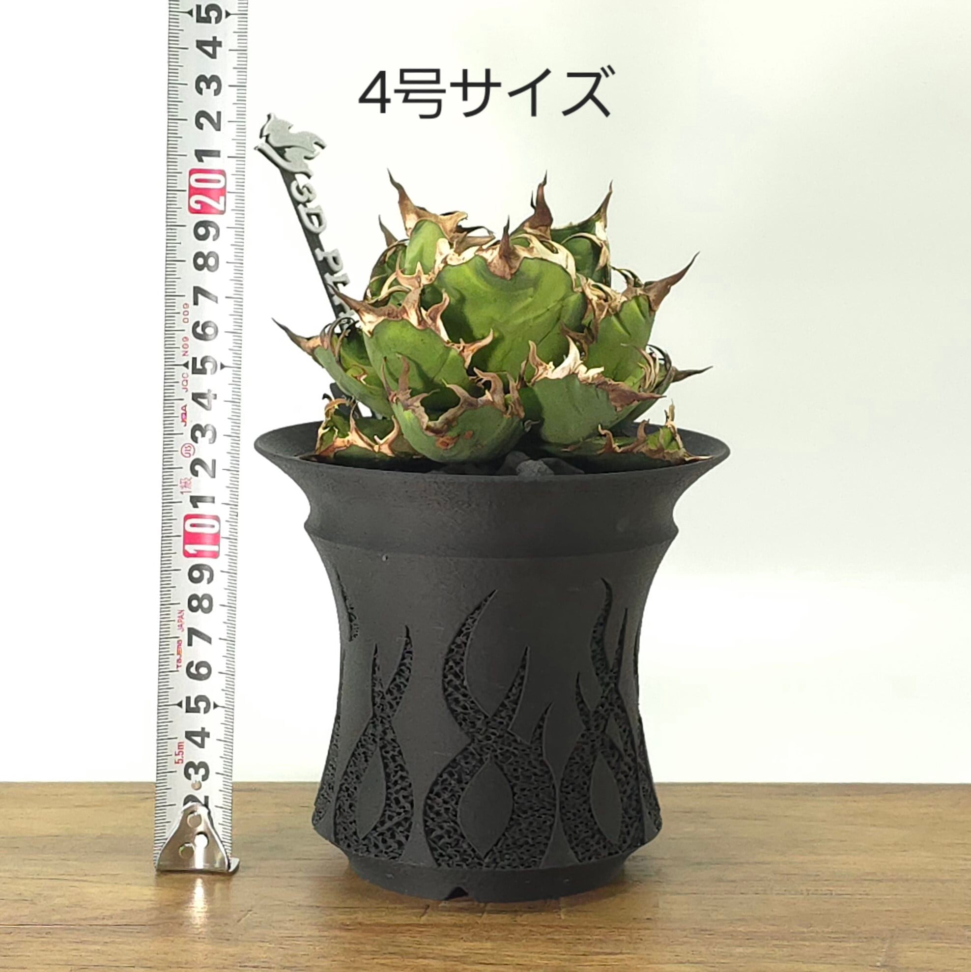 アガベ・塊根植物向け】Heat3号｜3Dプリント製デザイン植木鉢｜軽量