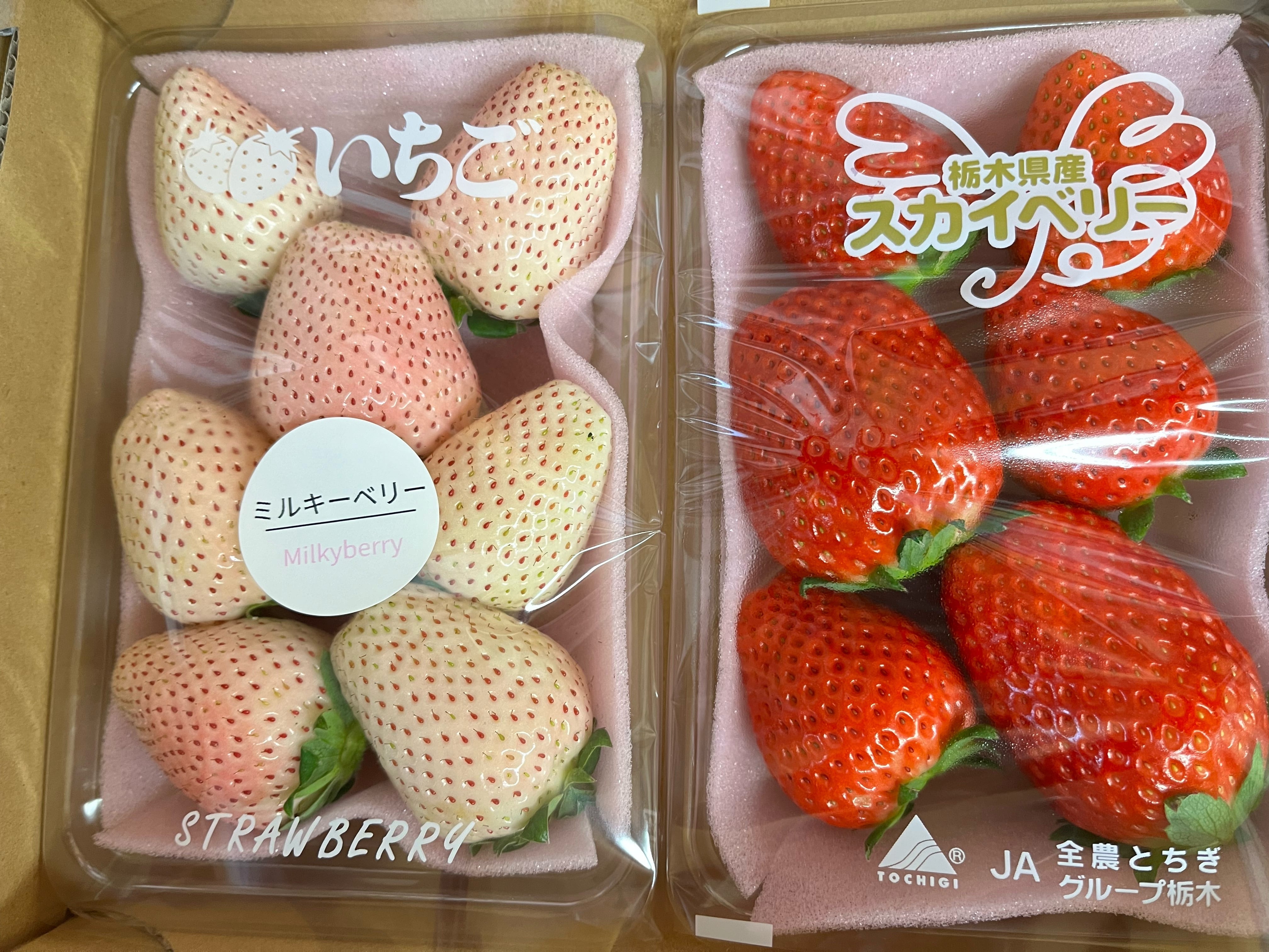 ミルキーベリーとスカイベリーの紅白セット | 小竹いちご園