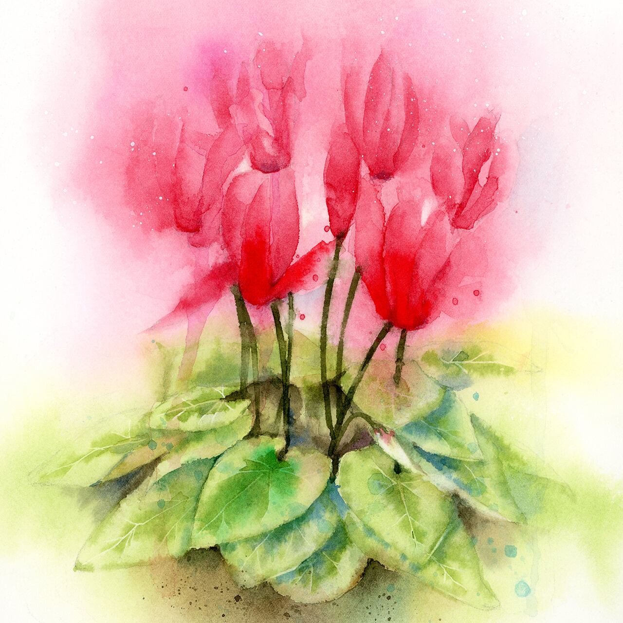 原画「紅の豚」 シクラメンの絵 水彩画 花の絵 壁掛けタイプ | 幸せの