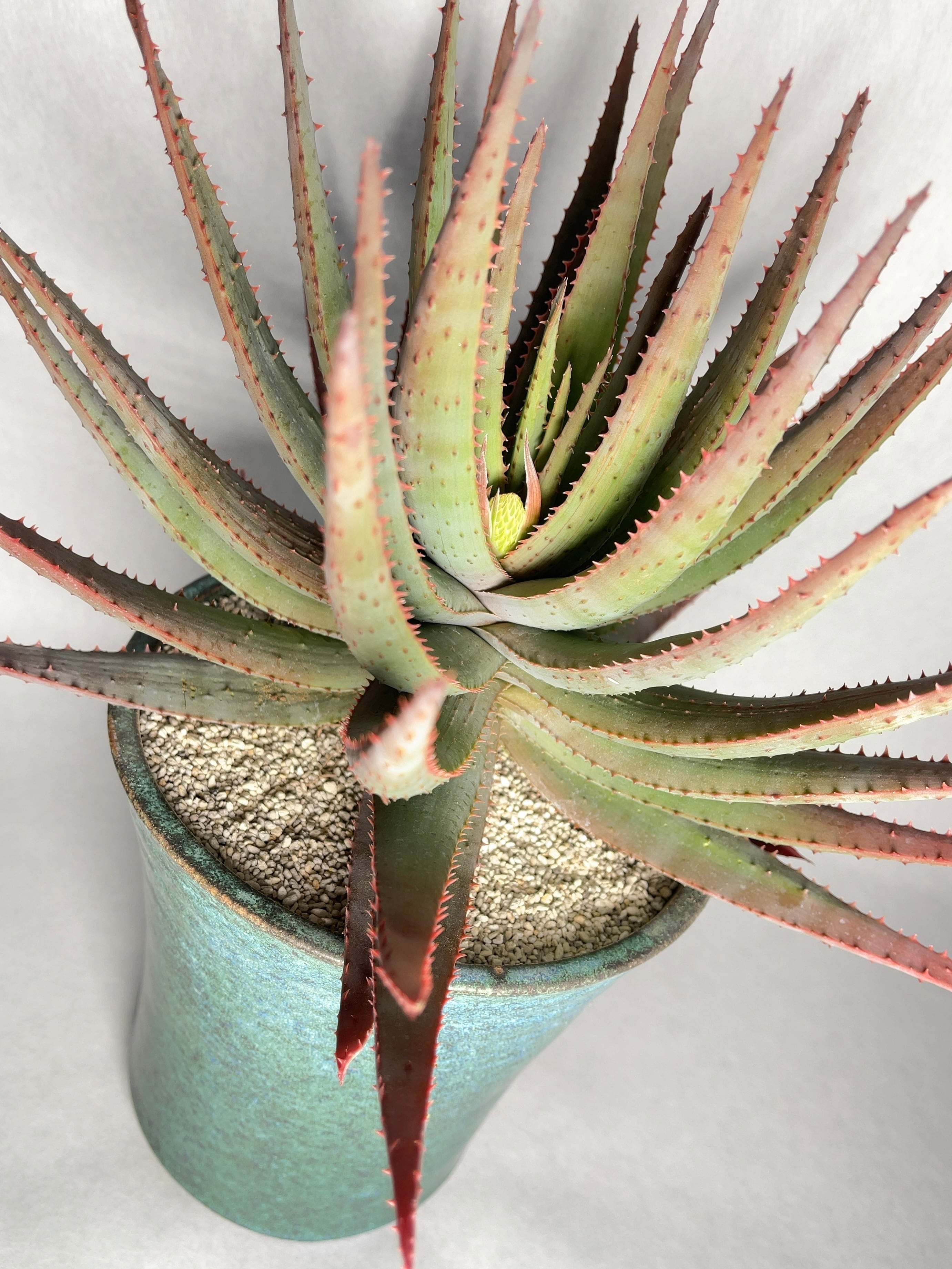 23014bb1232c9f548b399a7870cacc