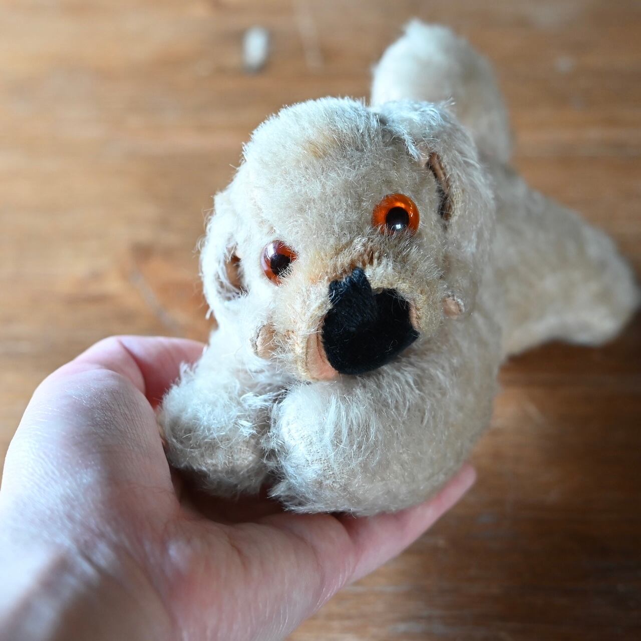 Stuffed Toy / ぬいぐるみ〈 犬・オブジェ・ディスプレイ