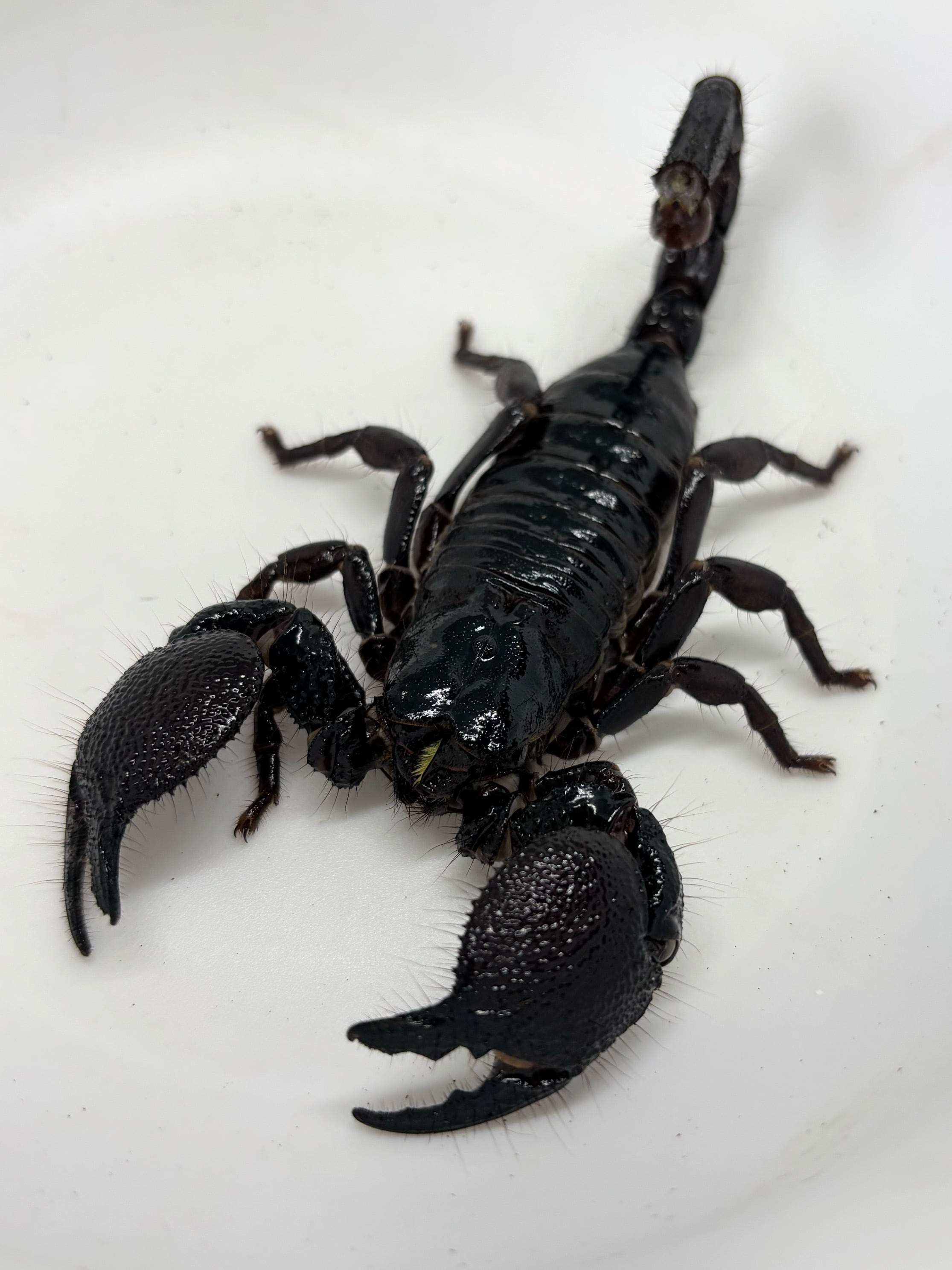 258fe0e1446f2842da0eab09e13536